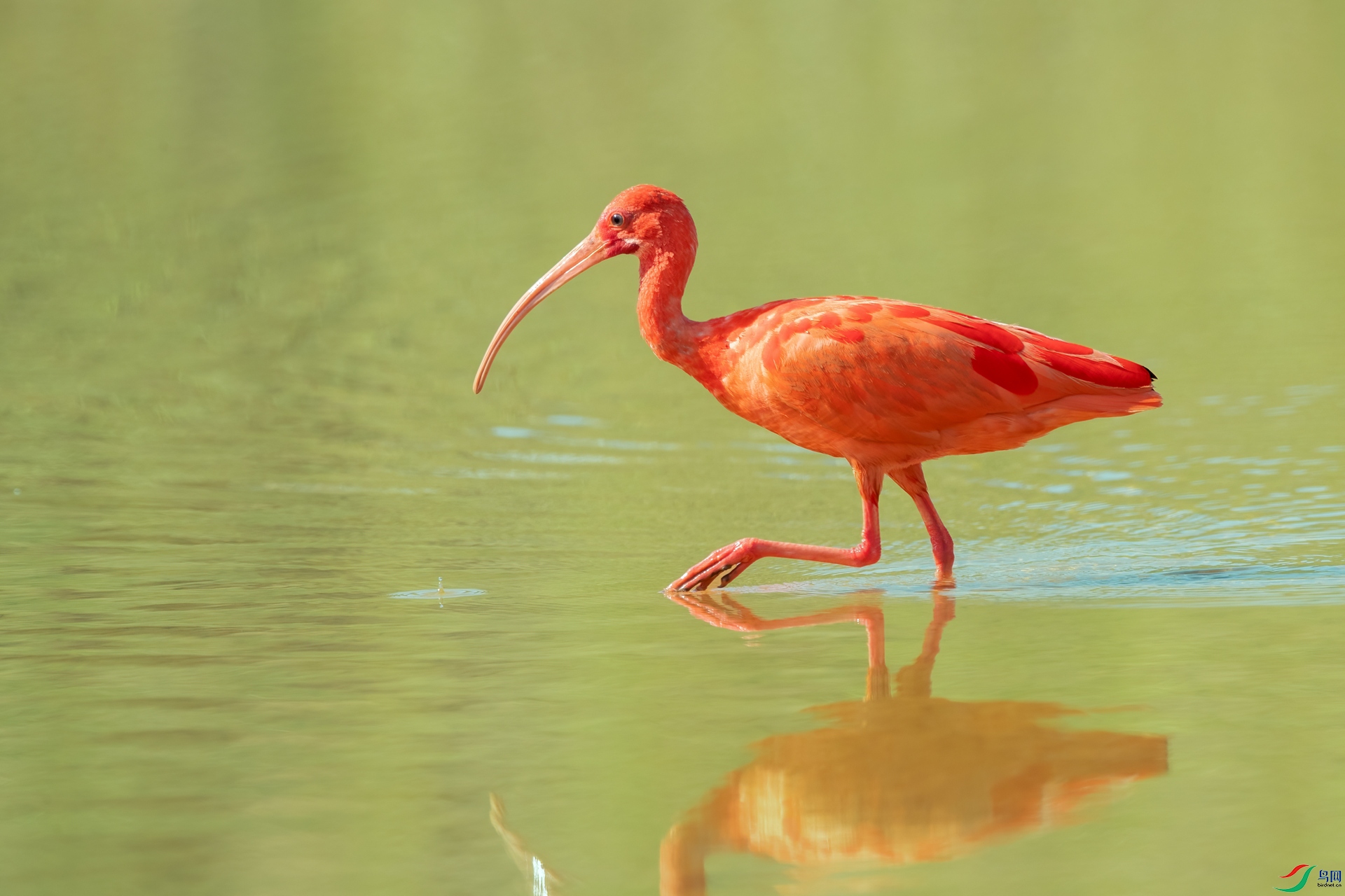 B86I2405 _����.jpg