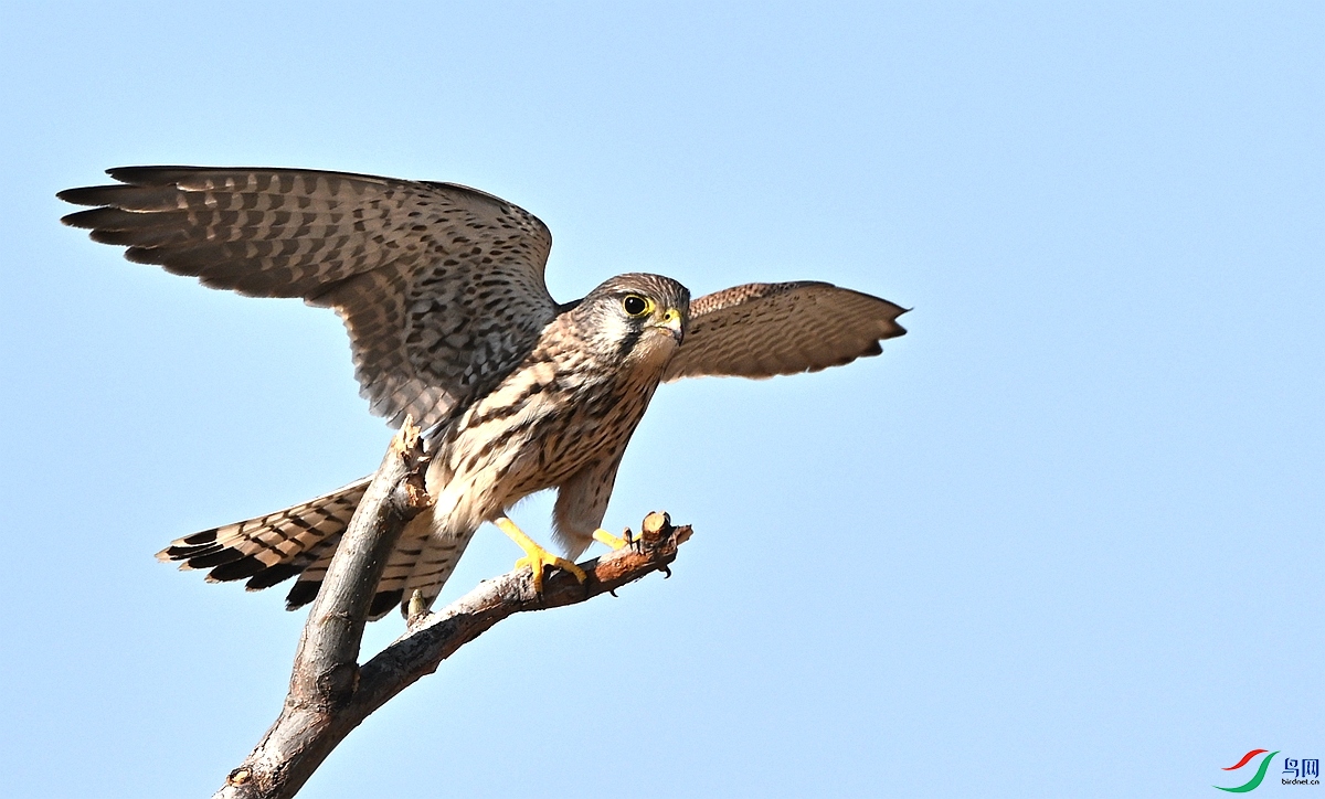 DSC_5807.JPG