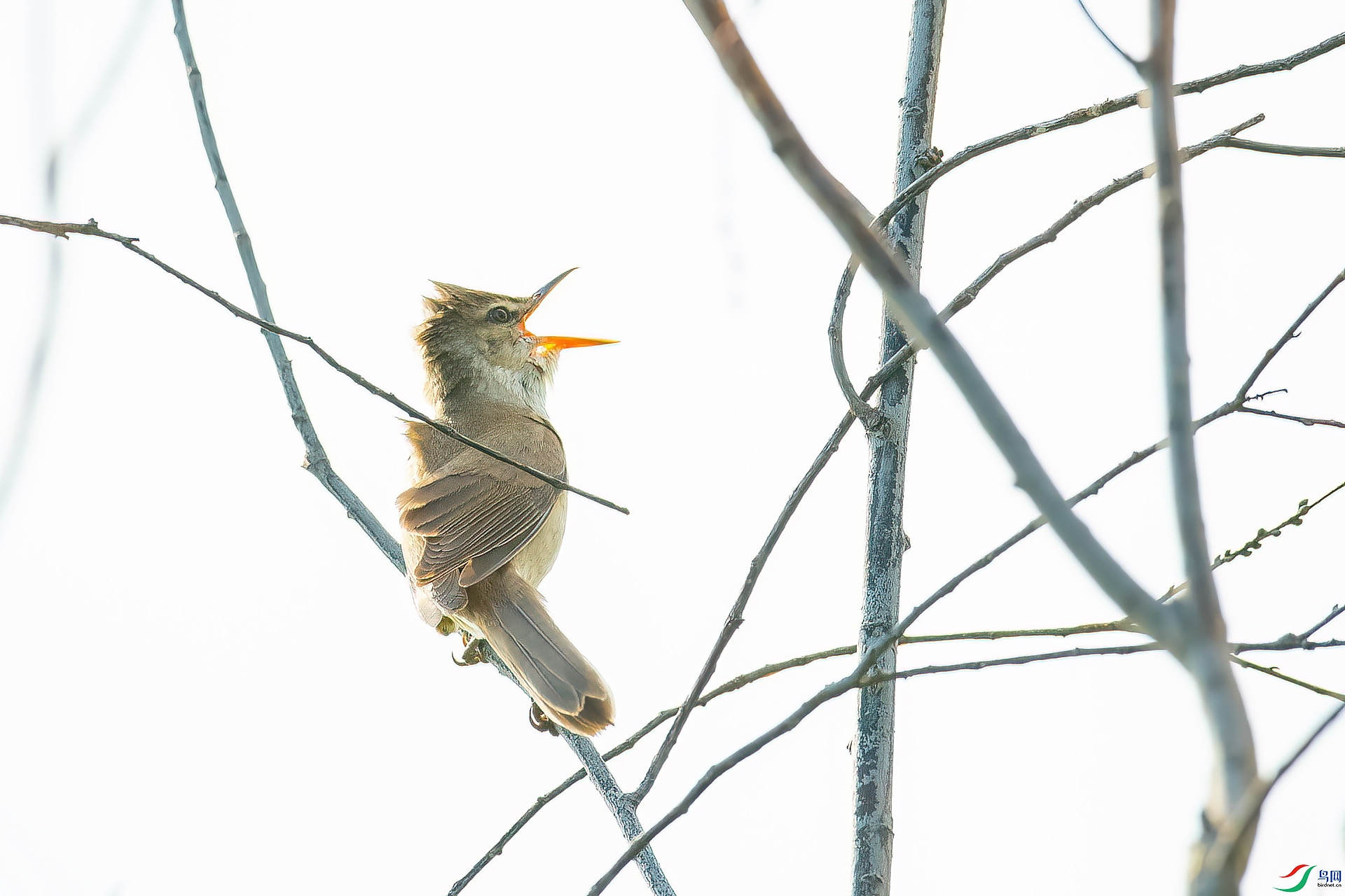 DSC_6191.jpg