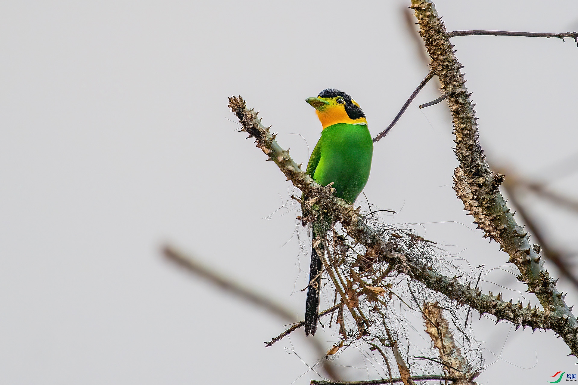 DSC_4711.jpg