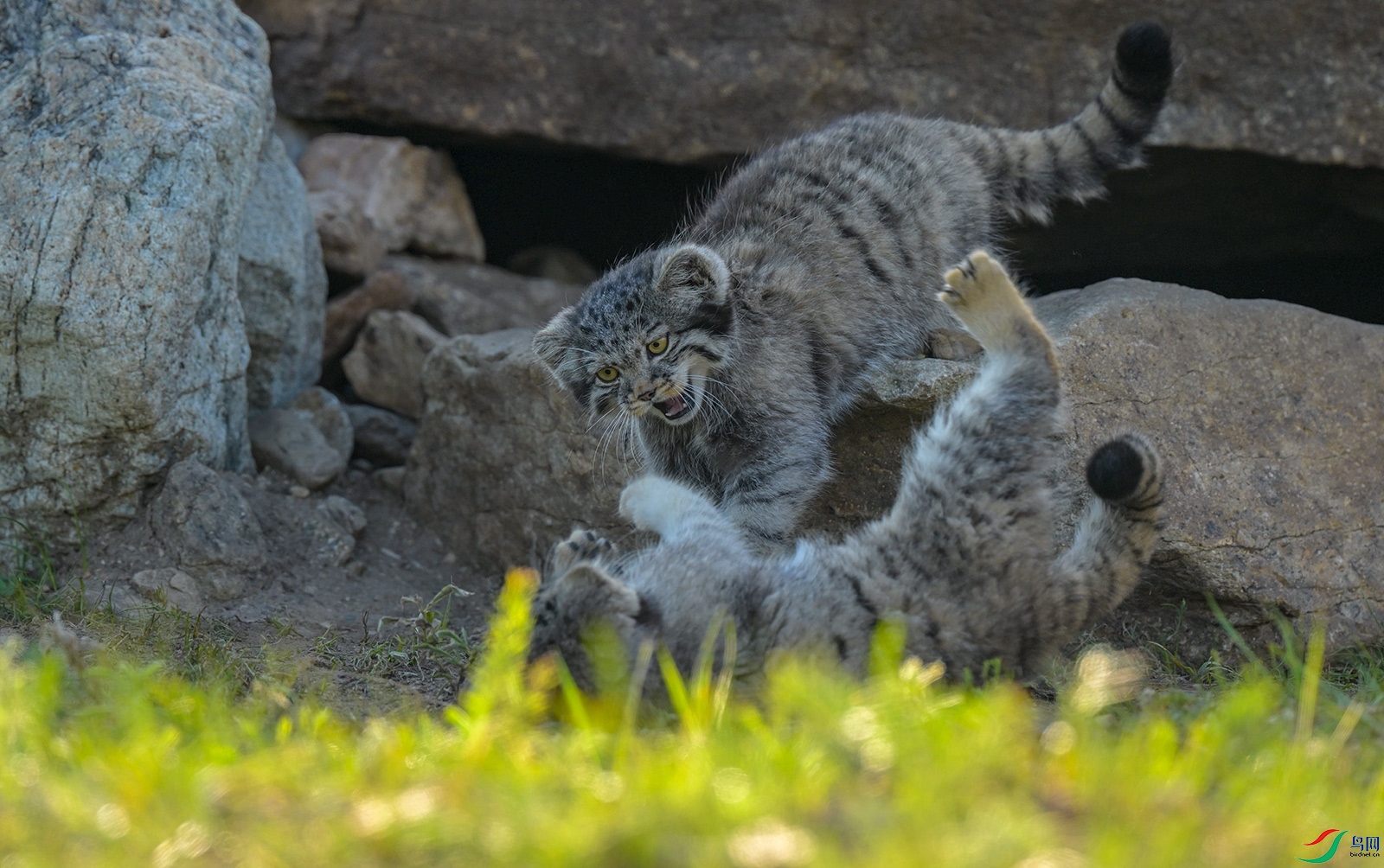 DSC_3166.jpg