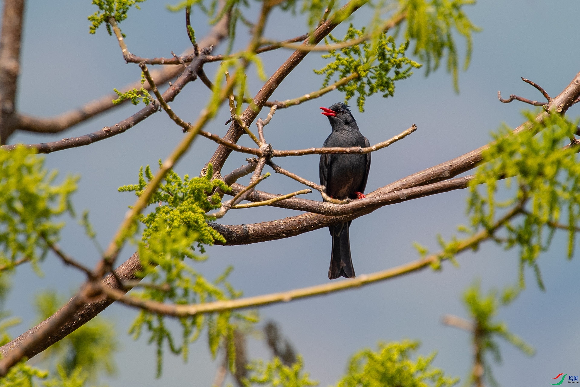 DSC_6013.jpg