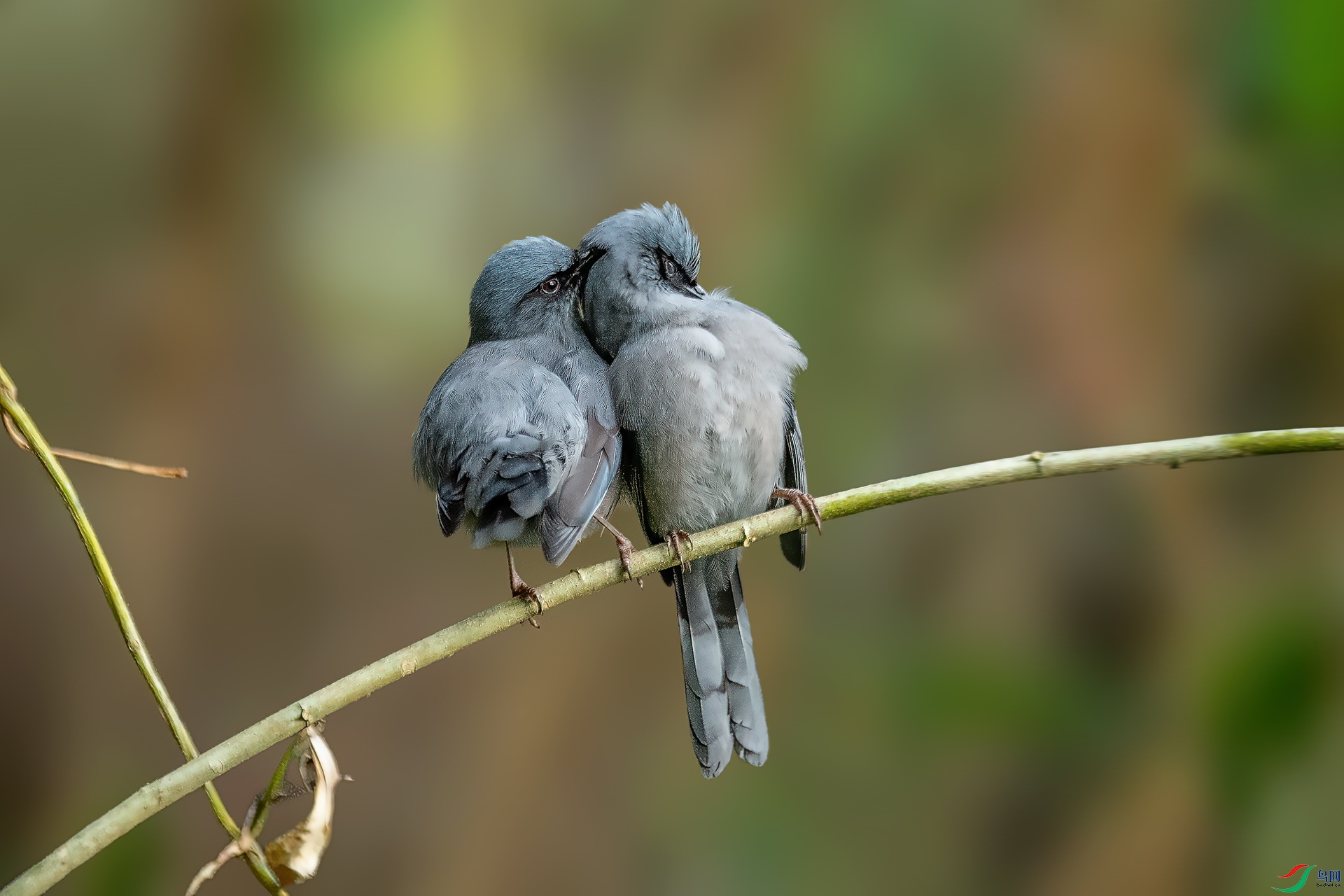 DSC_2131.jpg