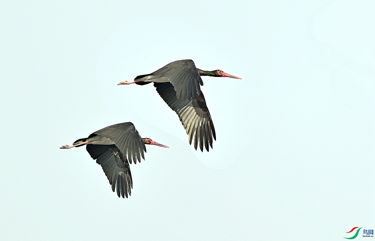 DSC_4347_����.jpg