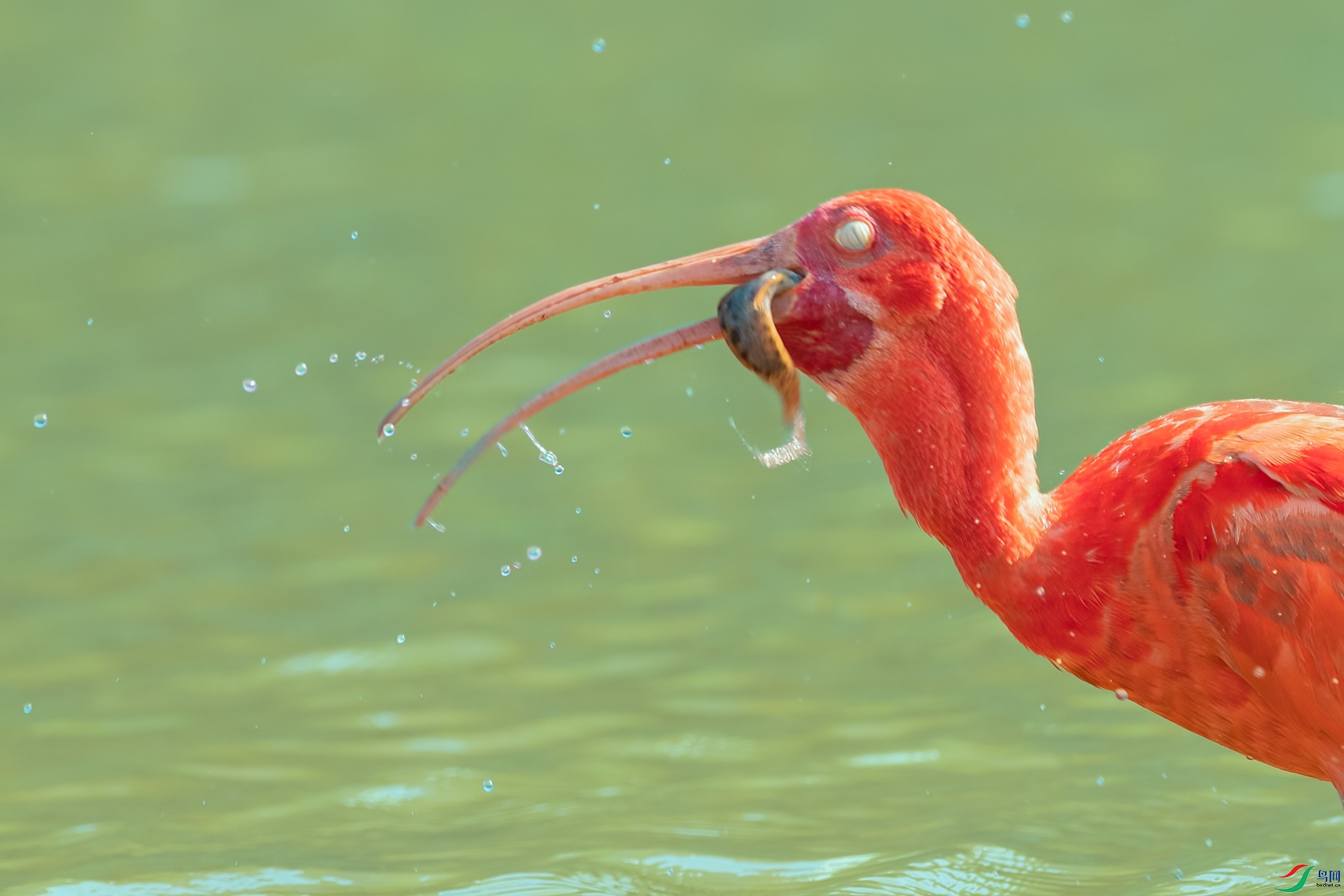 B86I5995 _����.jpg