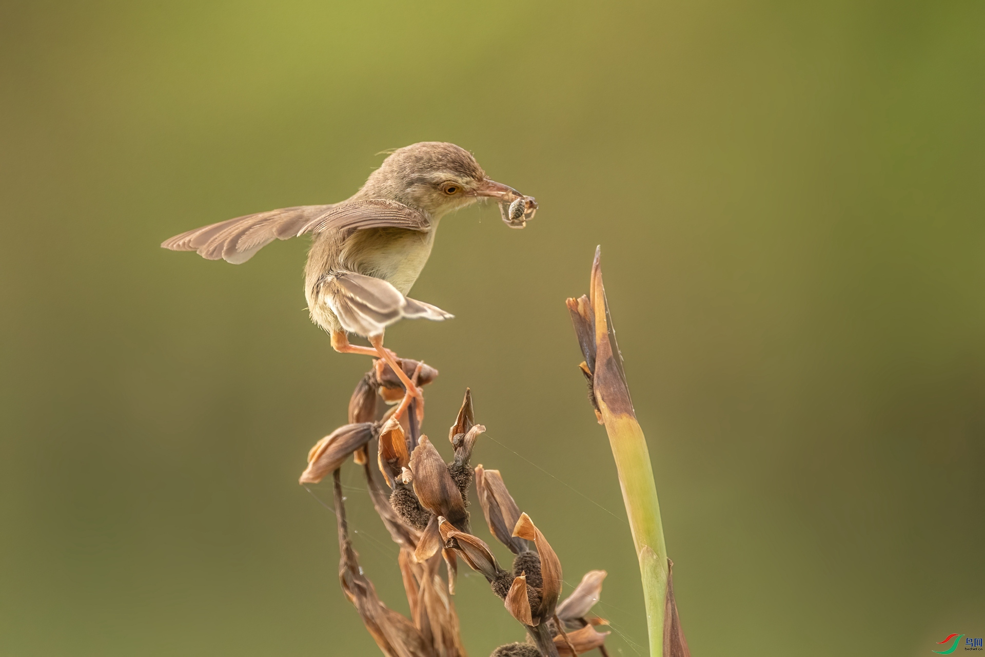 B86I8269 _����.jpg