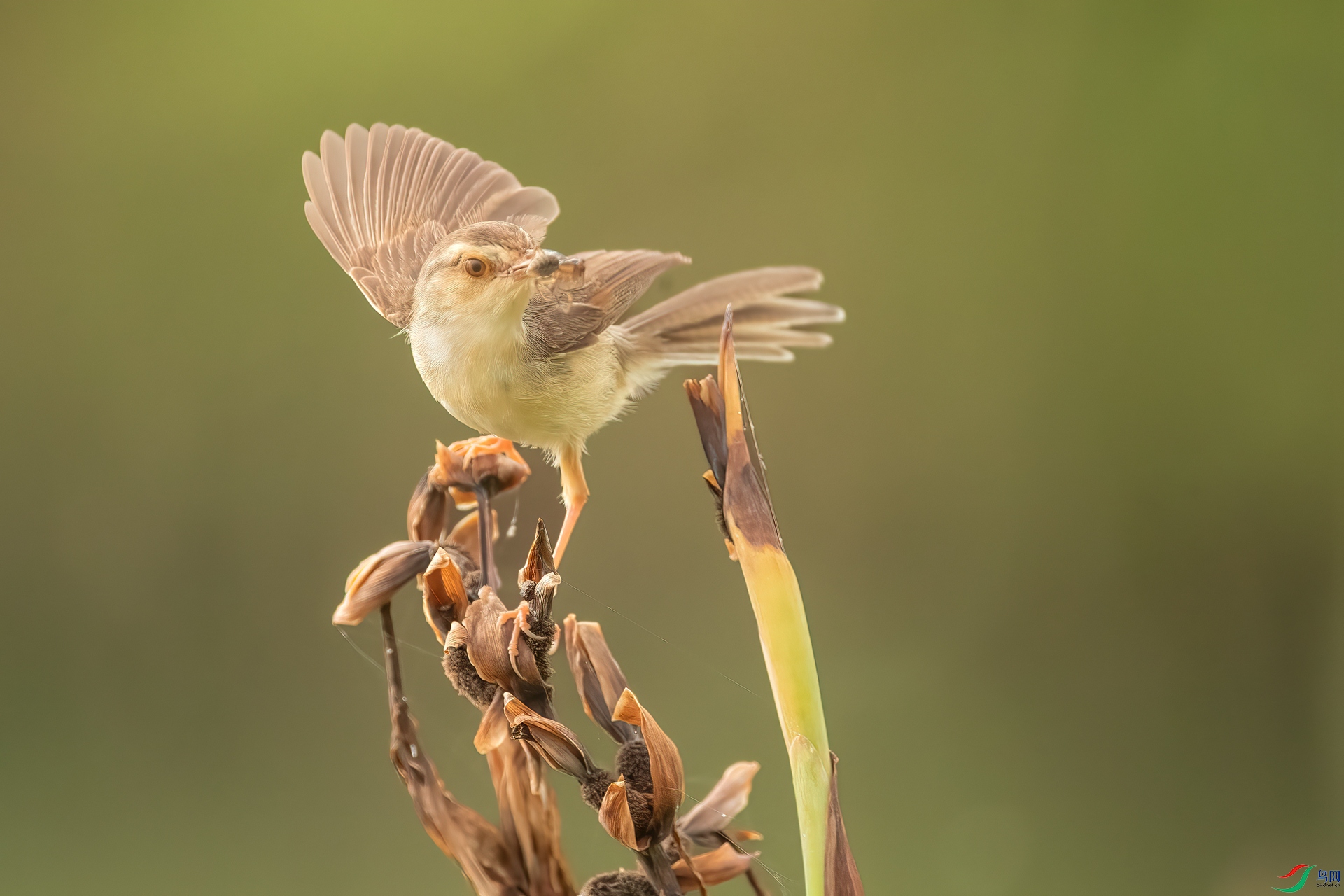 B86I8250 _����.jpg