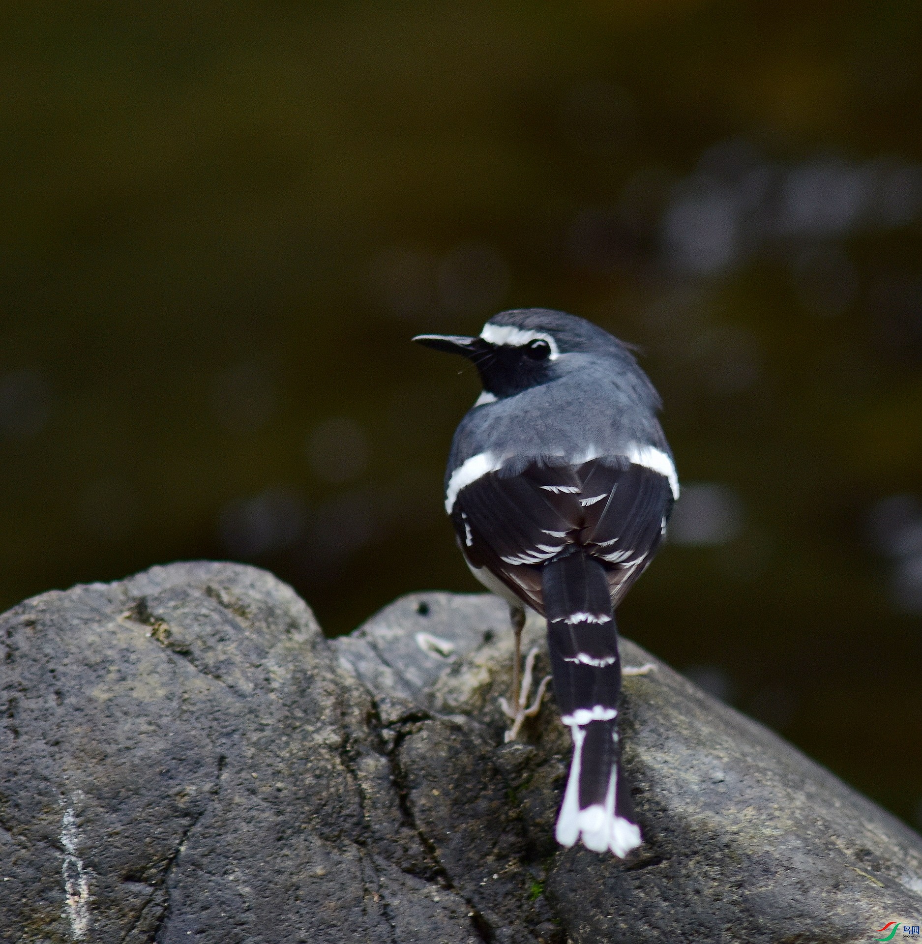 D8I_7994.jpg