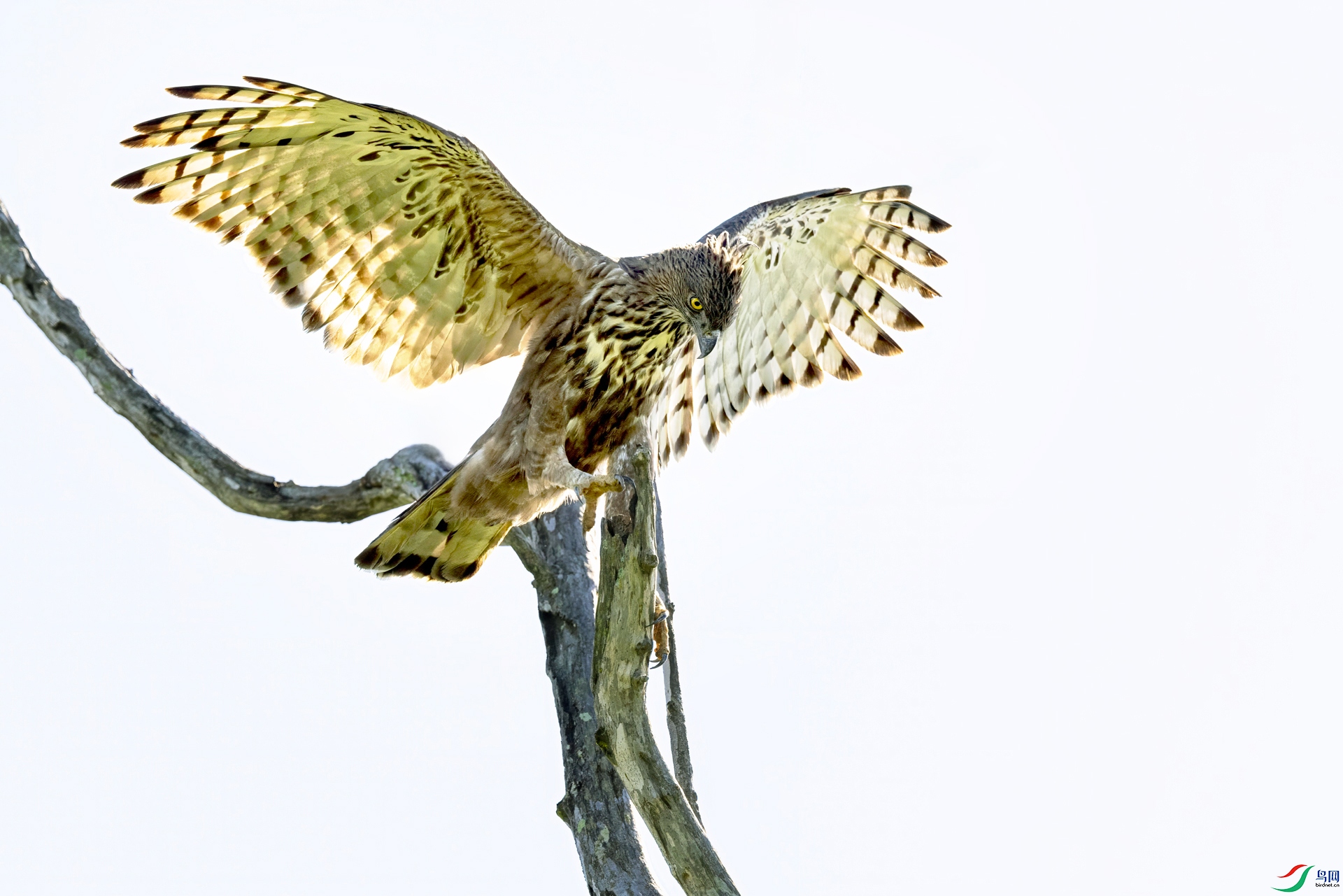 526A8676-topaz-denoise.jpga.jpg