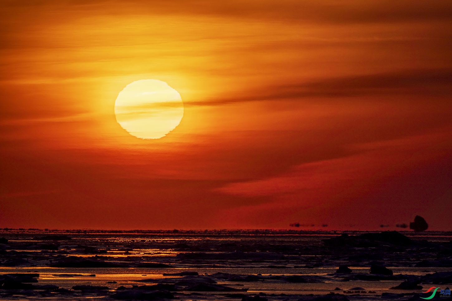 _5LM0677a.jpg