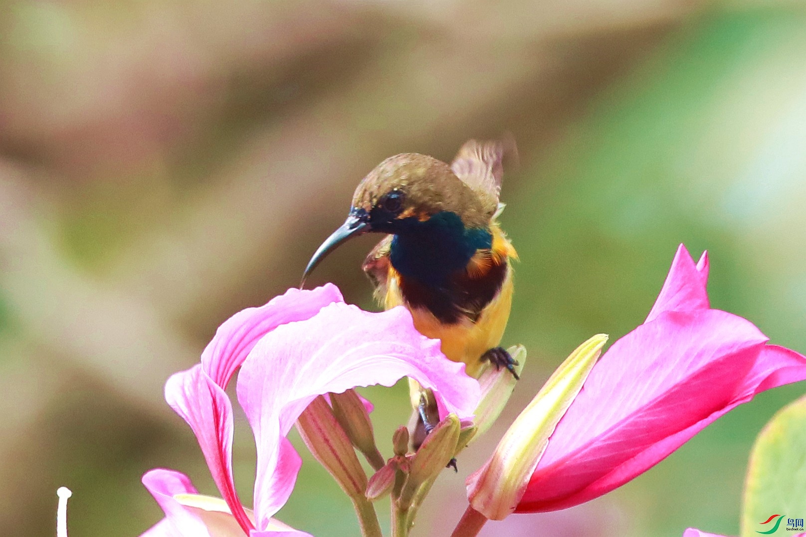 B83I9585.JPG