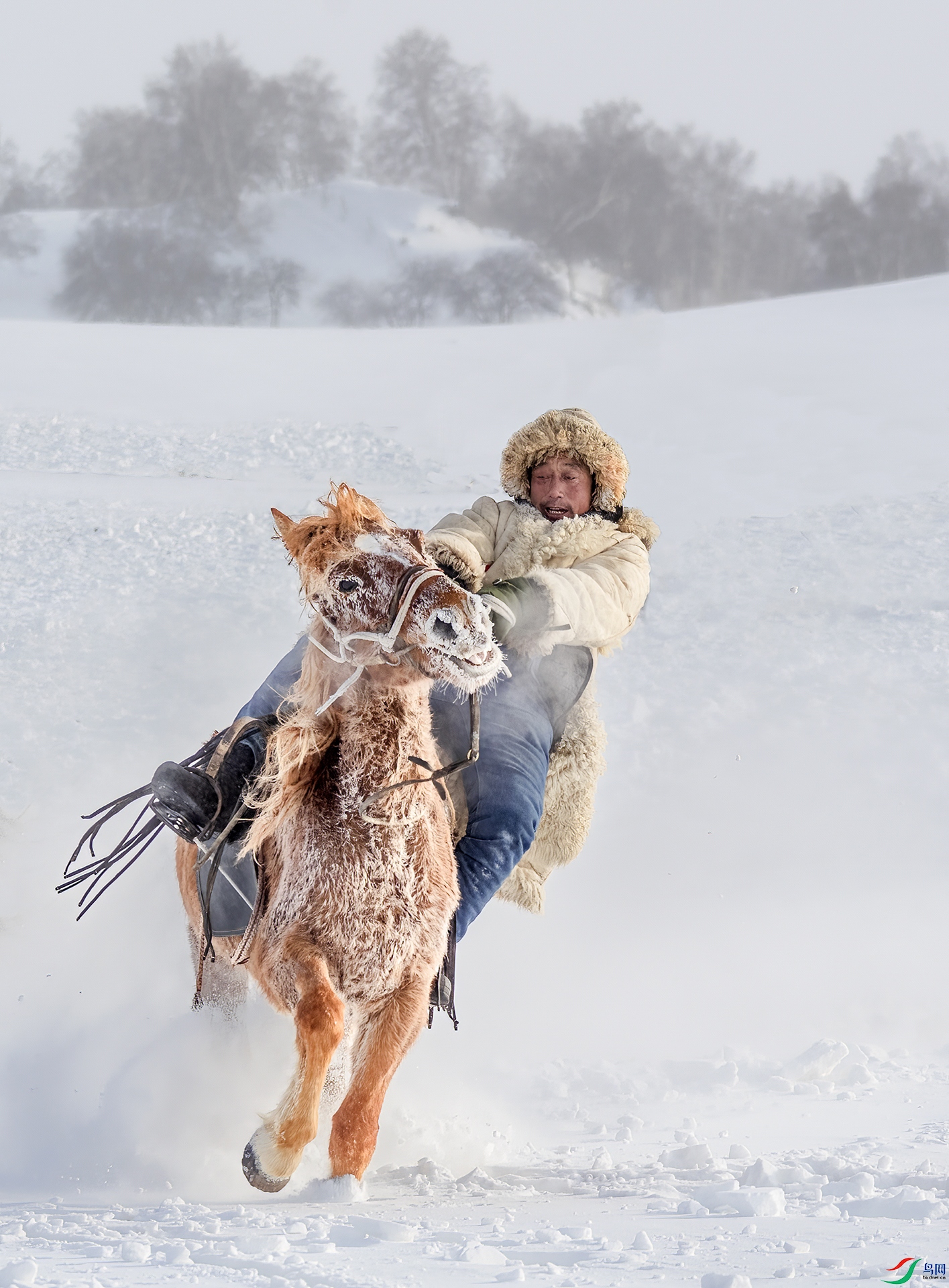 DSC_8546 - ��ɲ�� 00.jpg