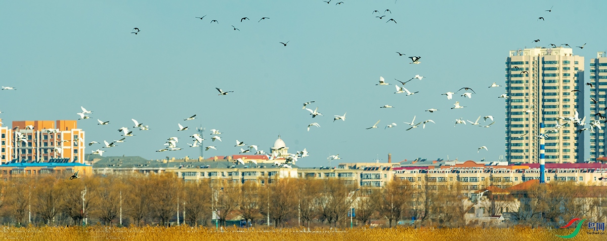 20220331 (172)-Pano.jpg