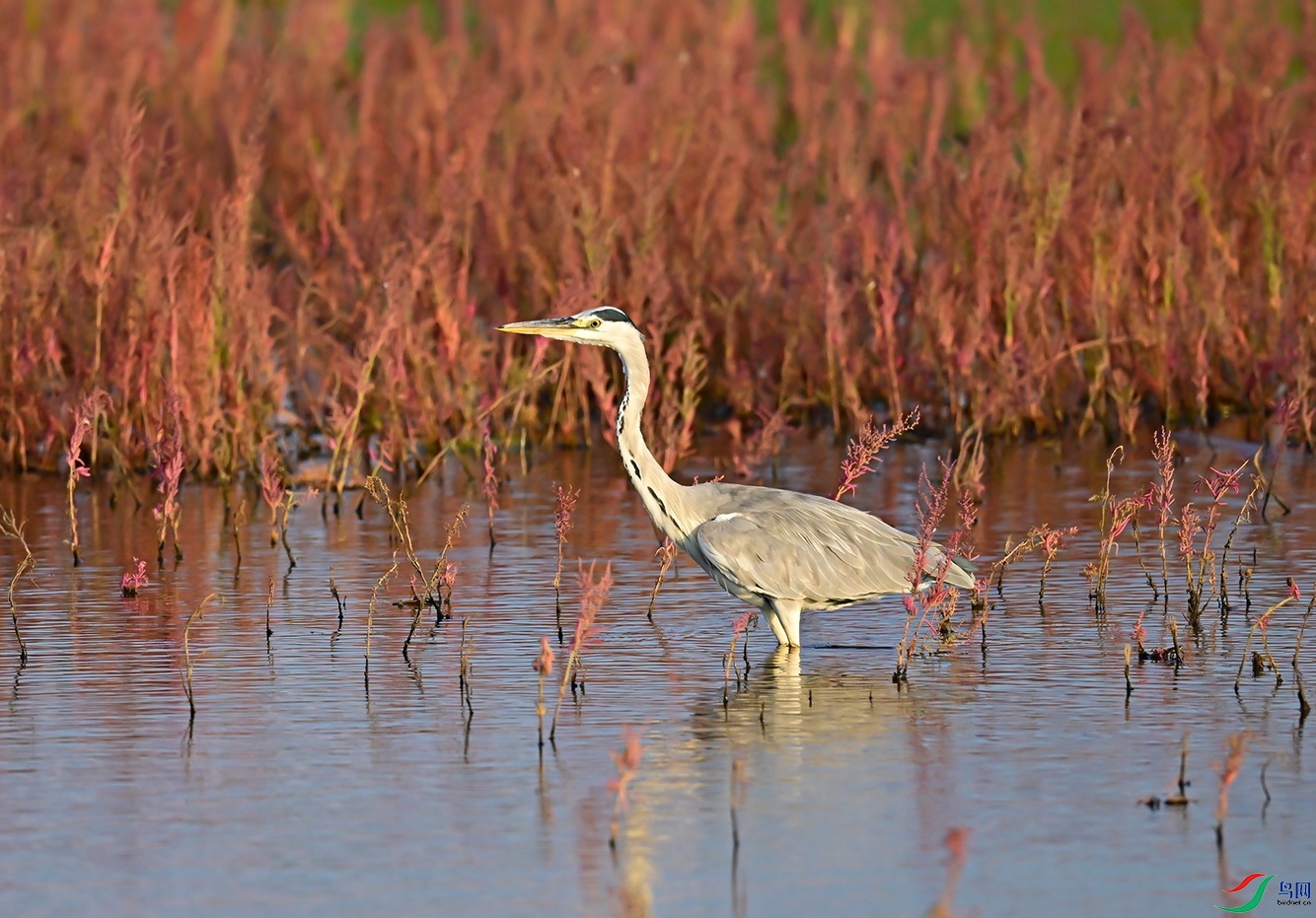_DSC6874f.jpg