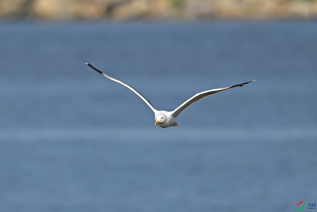 _DSC4255f.jpg