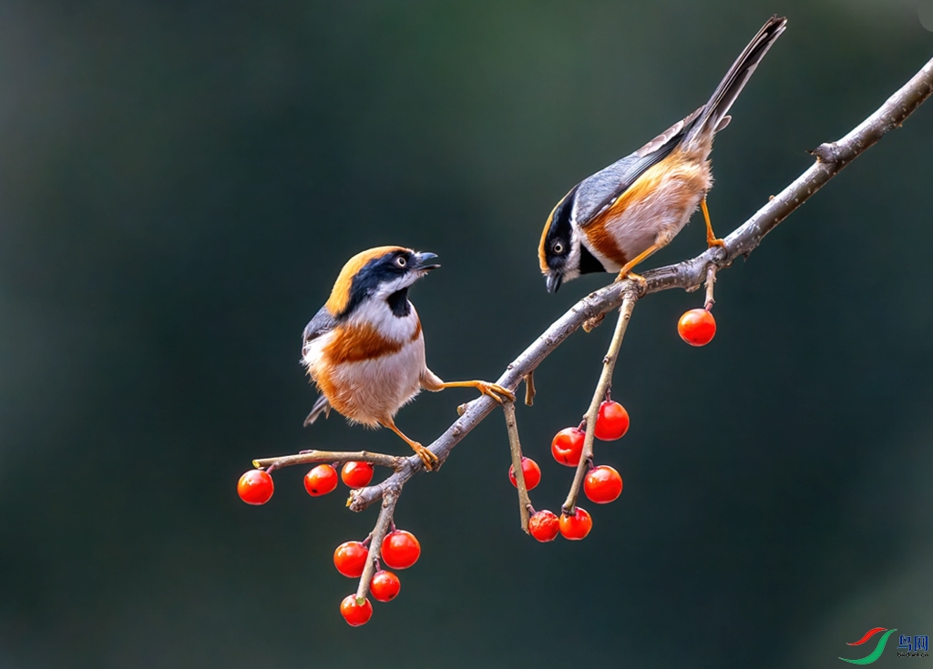 DSC05177-ARW_DxO_DeepPRIME ���� 2.jpg