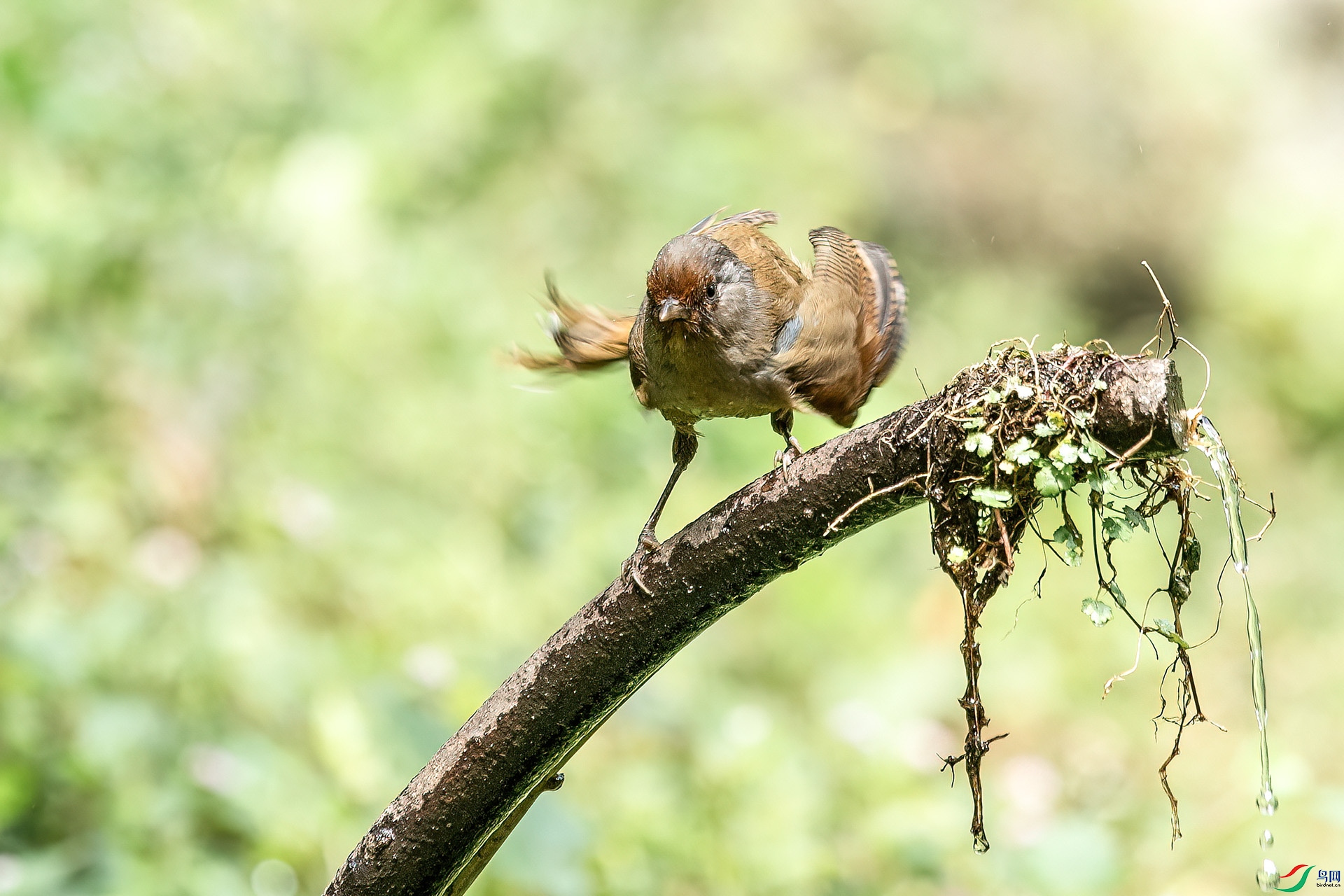 DSC_5039.jpg