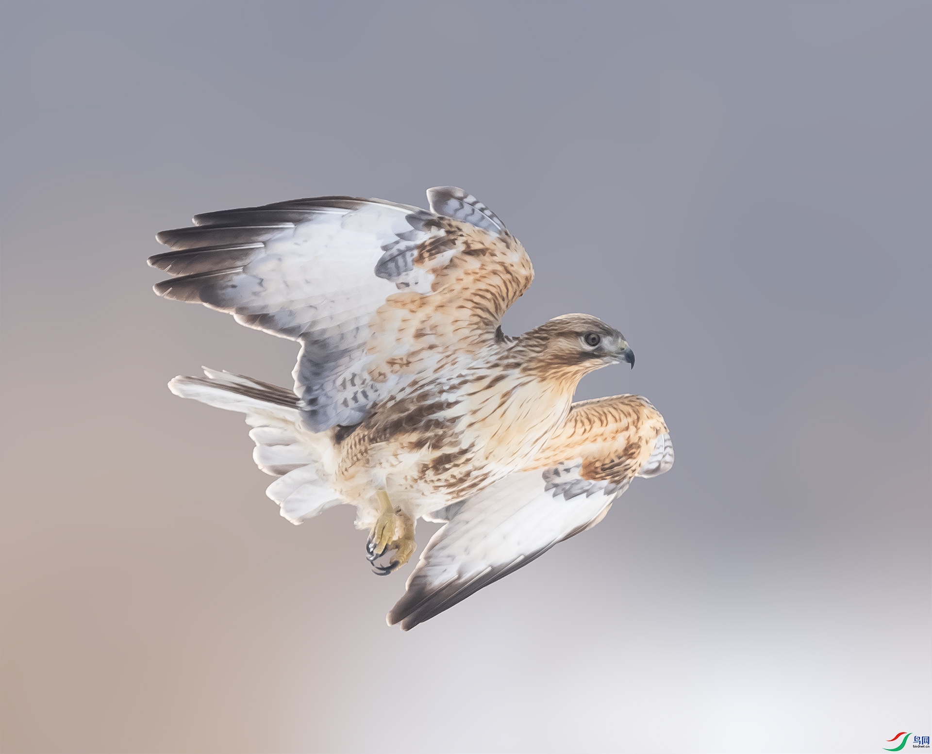 019A4217 ����.jpg