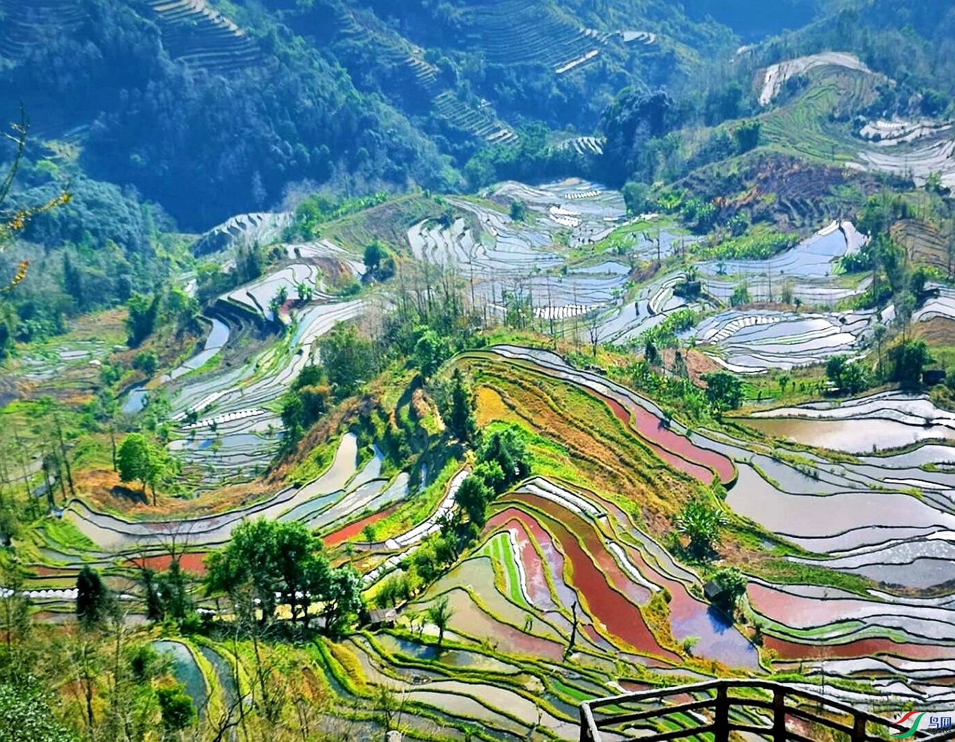 Image_1704933388743_edit_87991152411005.jpg