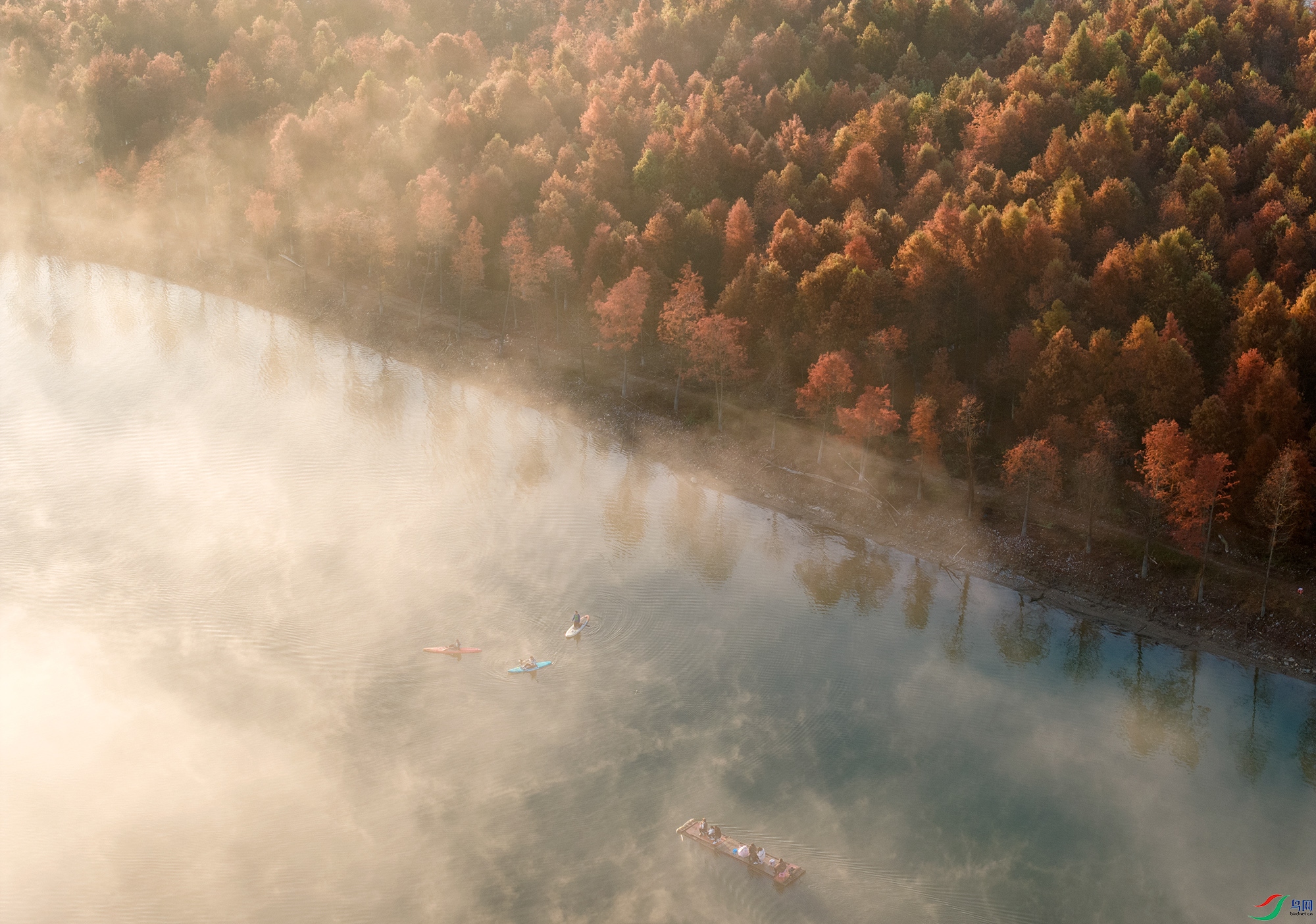 DJI_20231128064219_0242_Da1111111111.jpg
