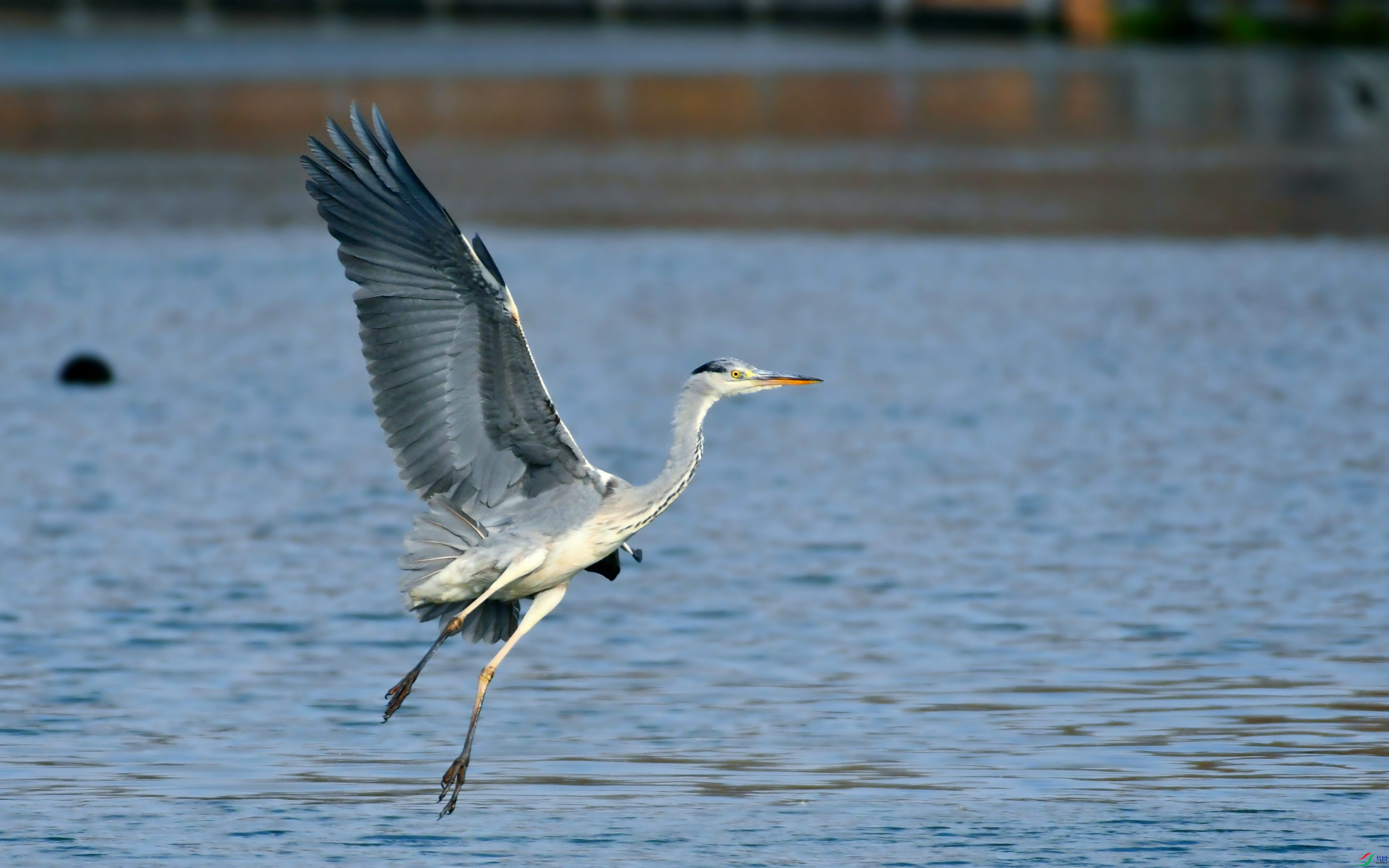 DSC_5298.JPG