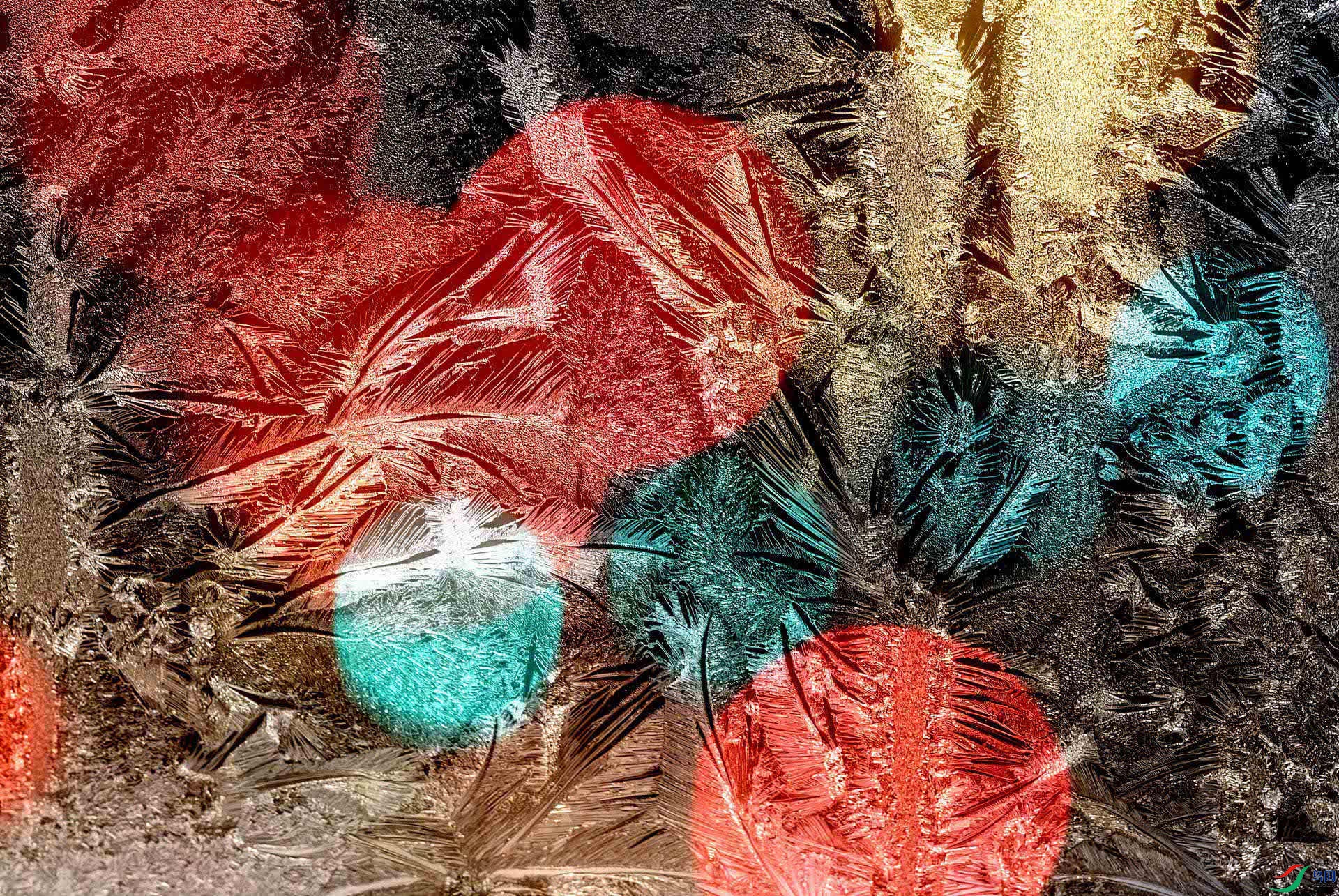 ����-467_1_1.jpg