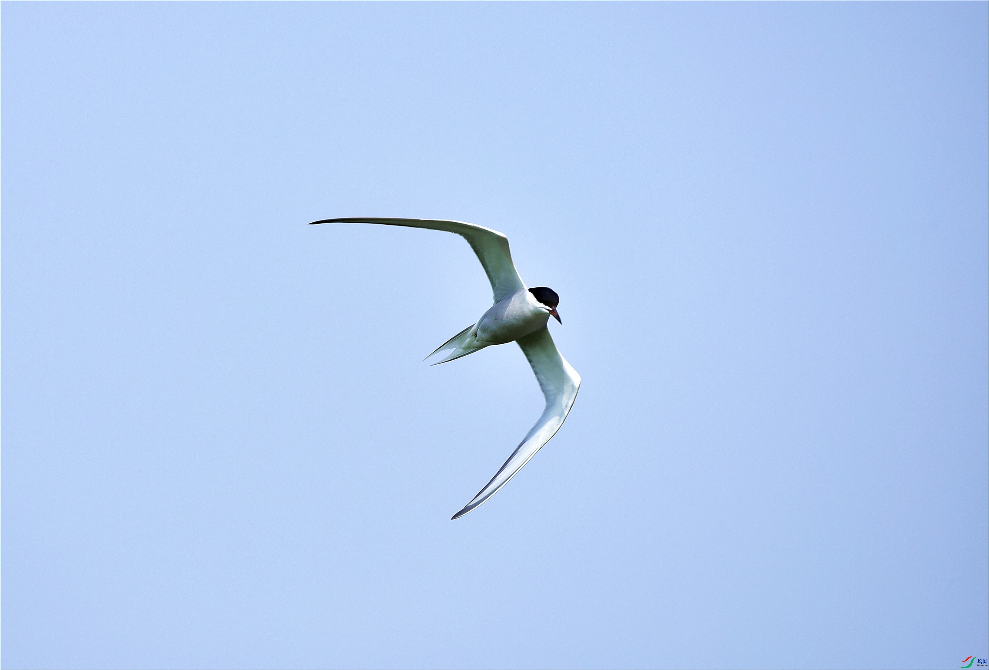 DSC_5824_����.jpg
