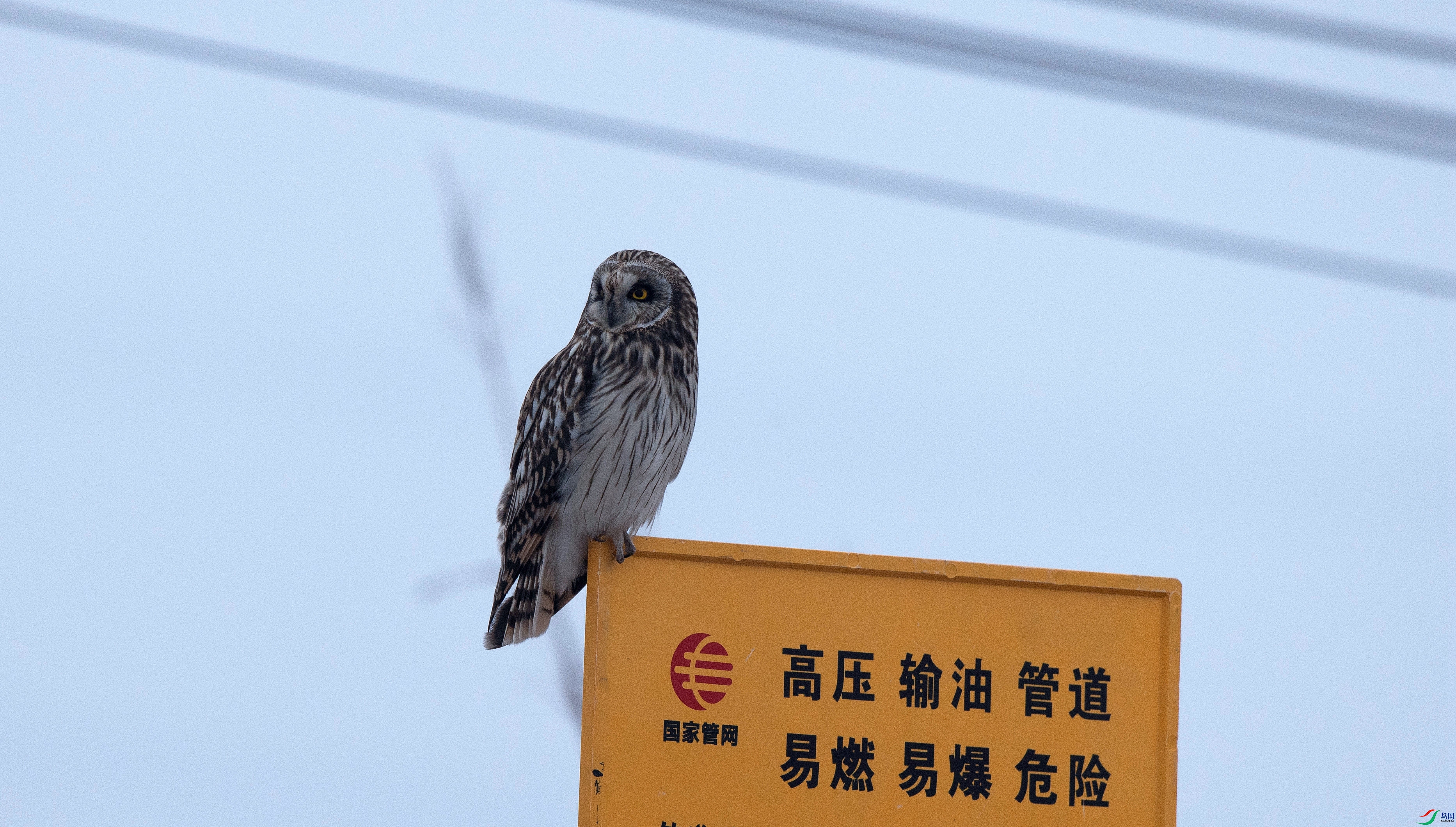 A63I0735_����.jpg