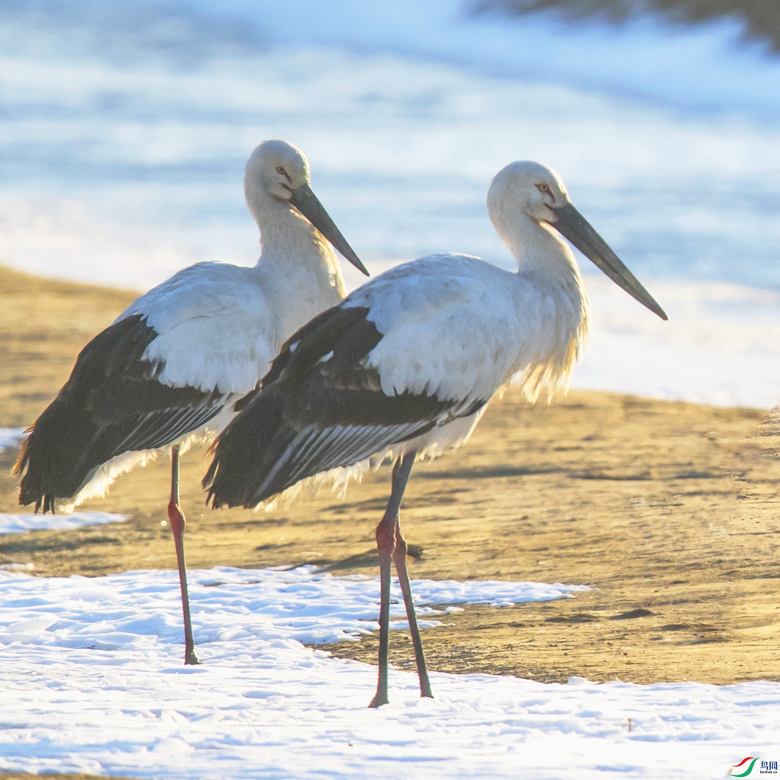 _90I7930 ����.jpg