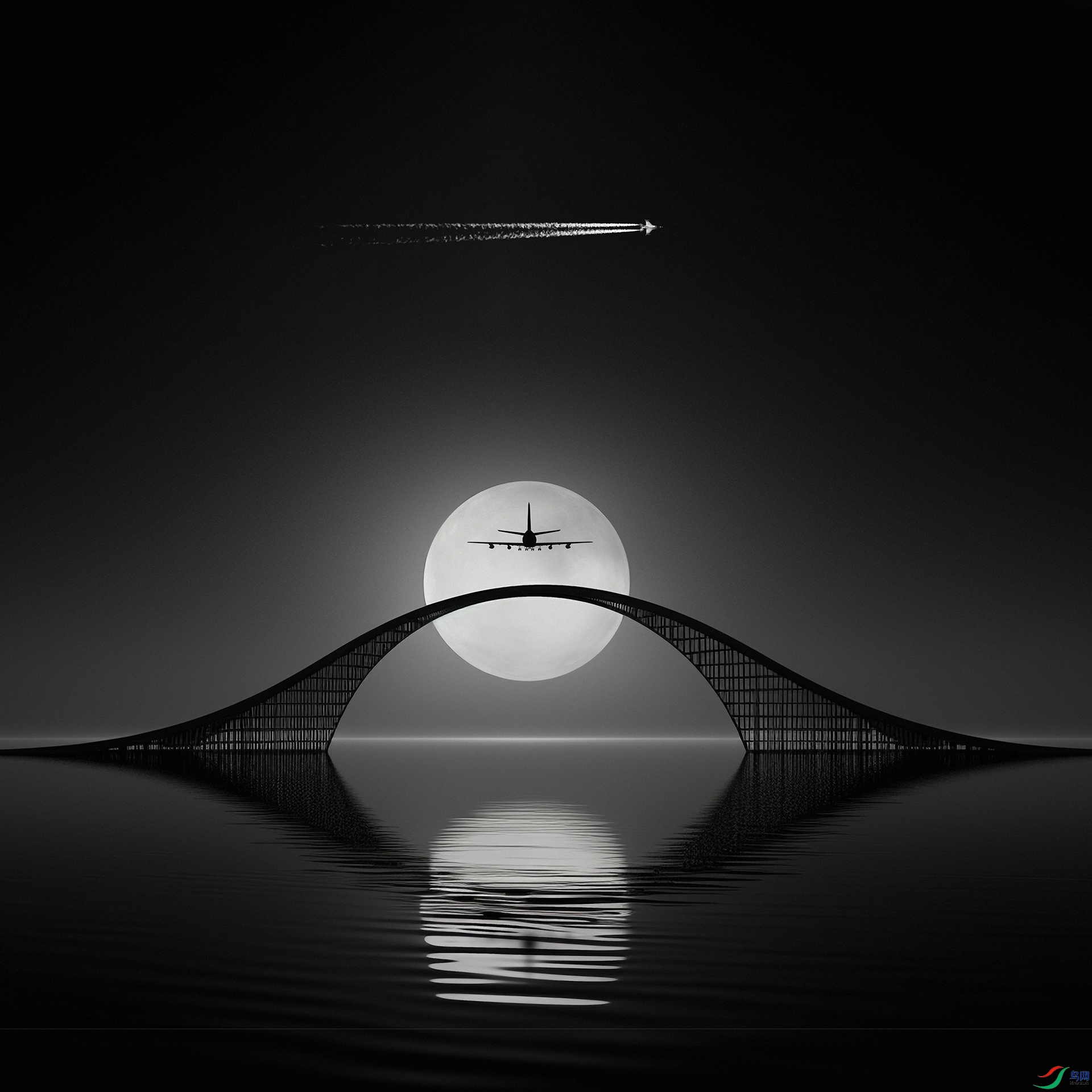 Bridge flight.jpg