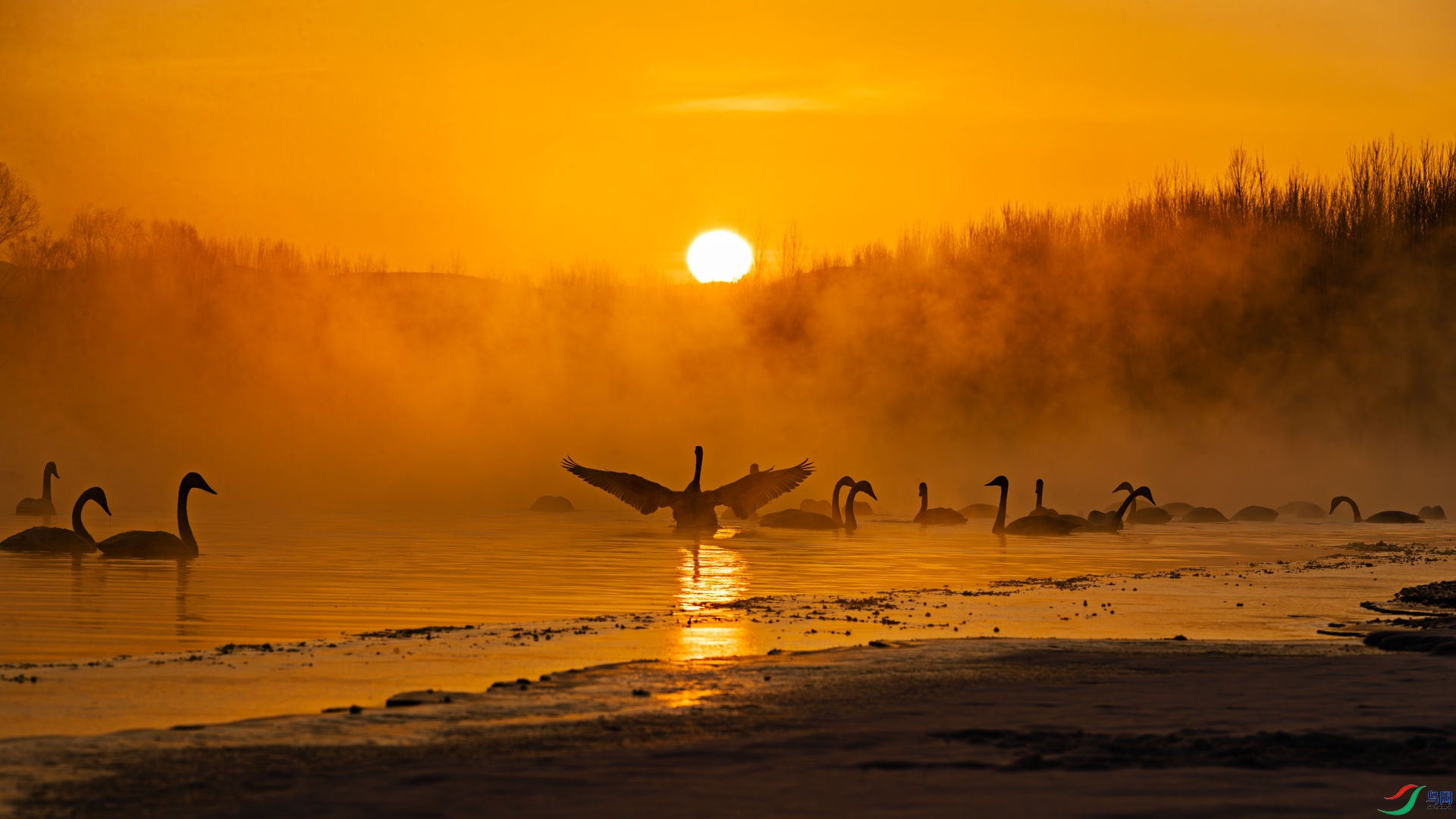 A40I6147-1��.jpg