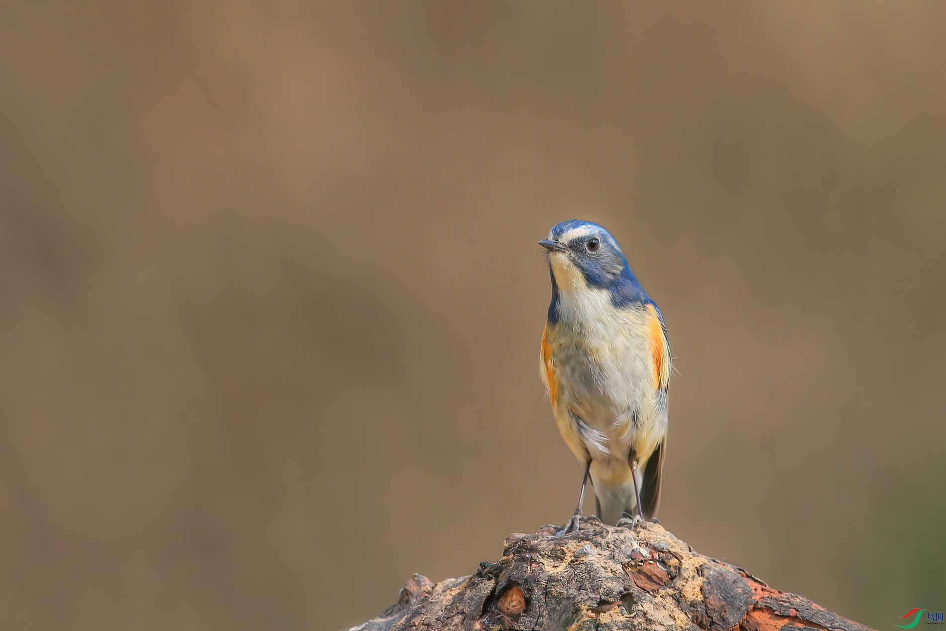 AQ4P1867-1.jpg