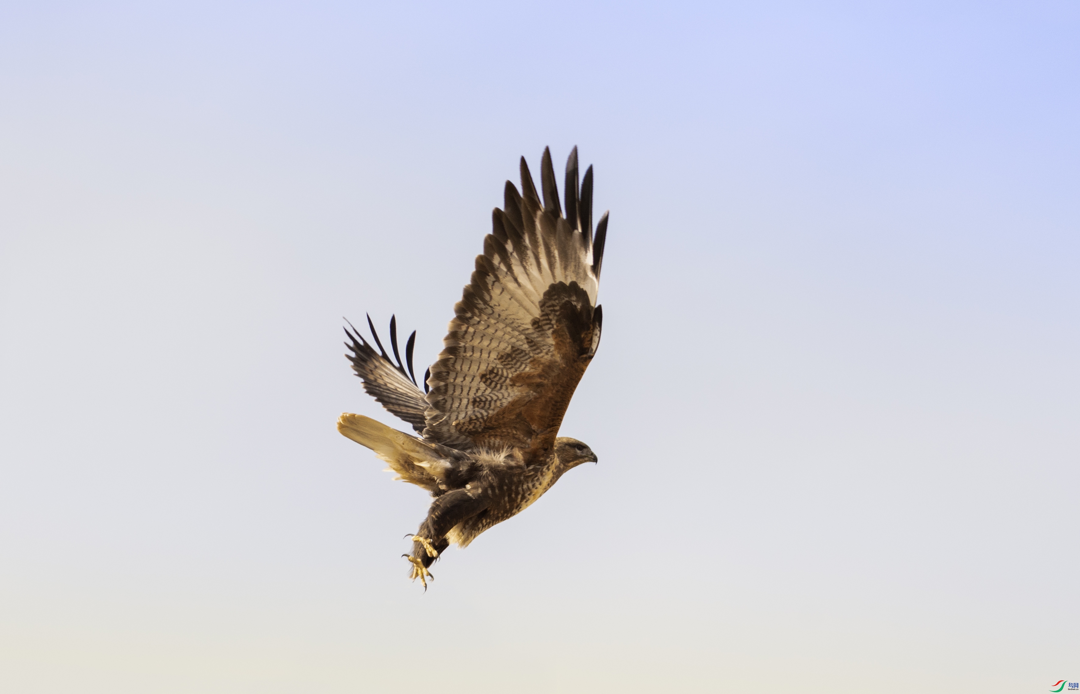 7X5A9126 - ����.jpg