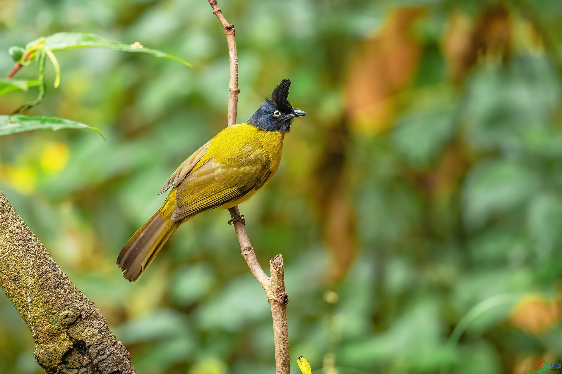 DSC_2584.jpg