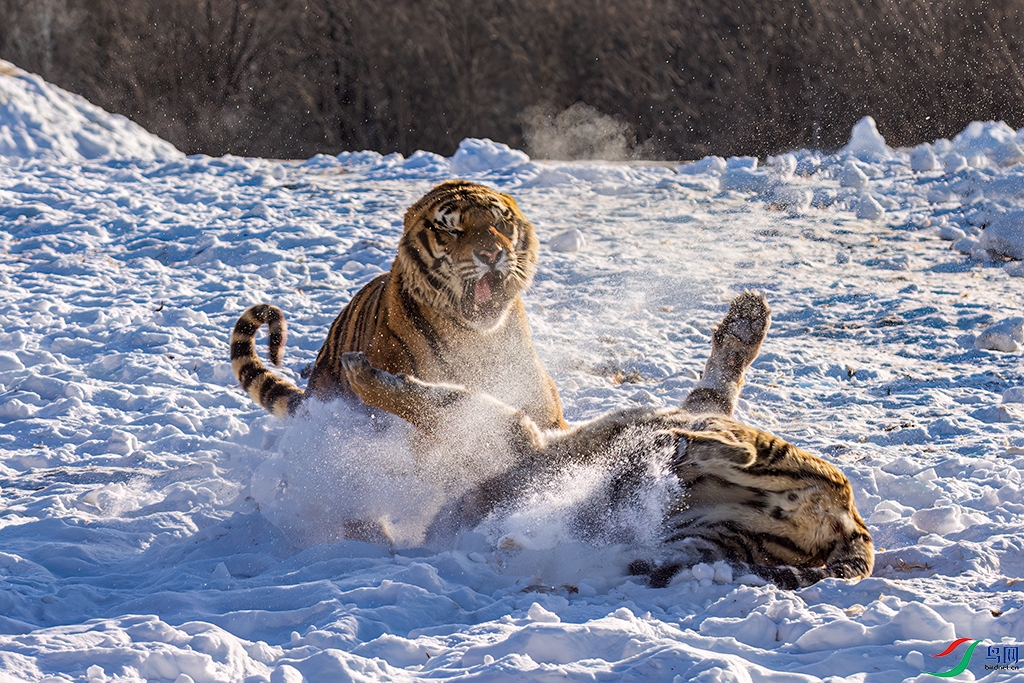 hljhlR231214 (2438).jpg