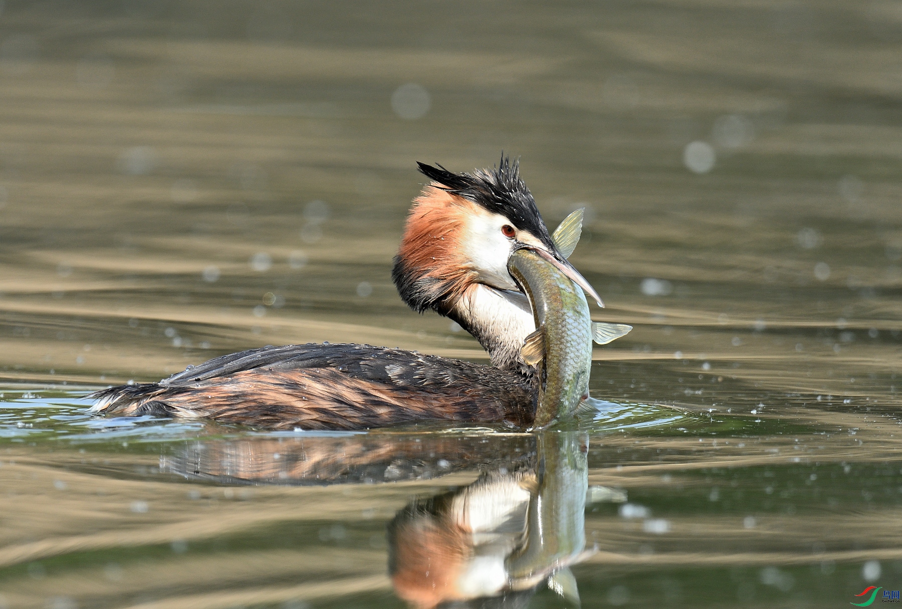DSC_2747.JPG