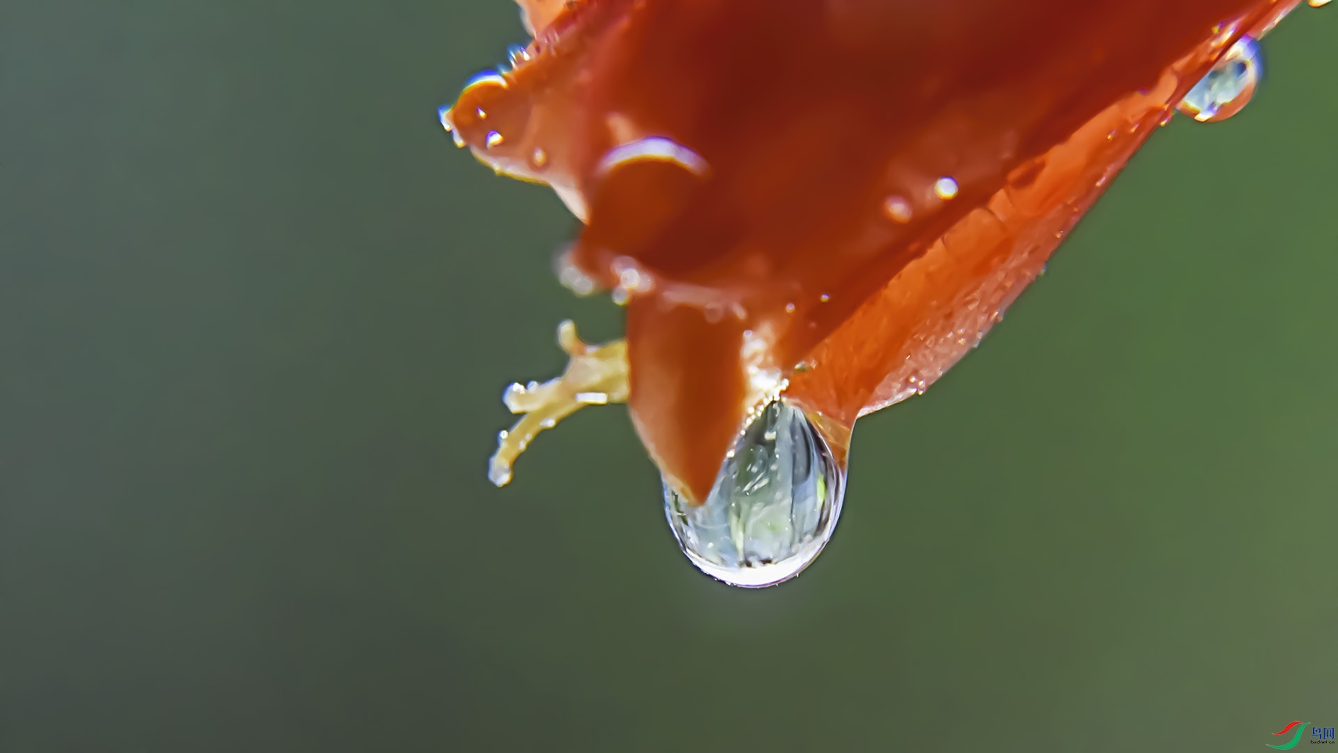 _DSC1717 ����.jpg