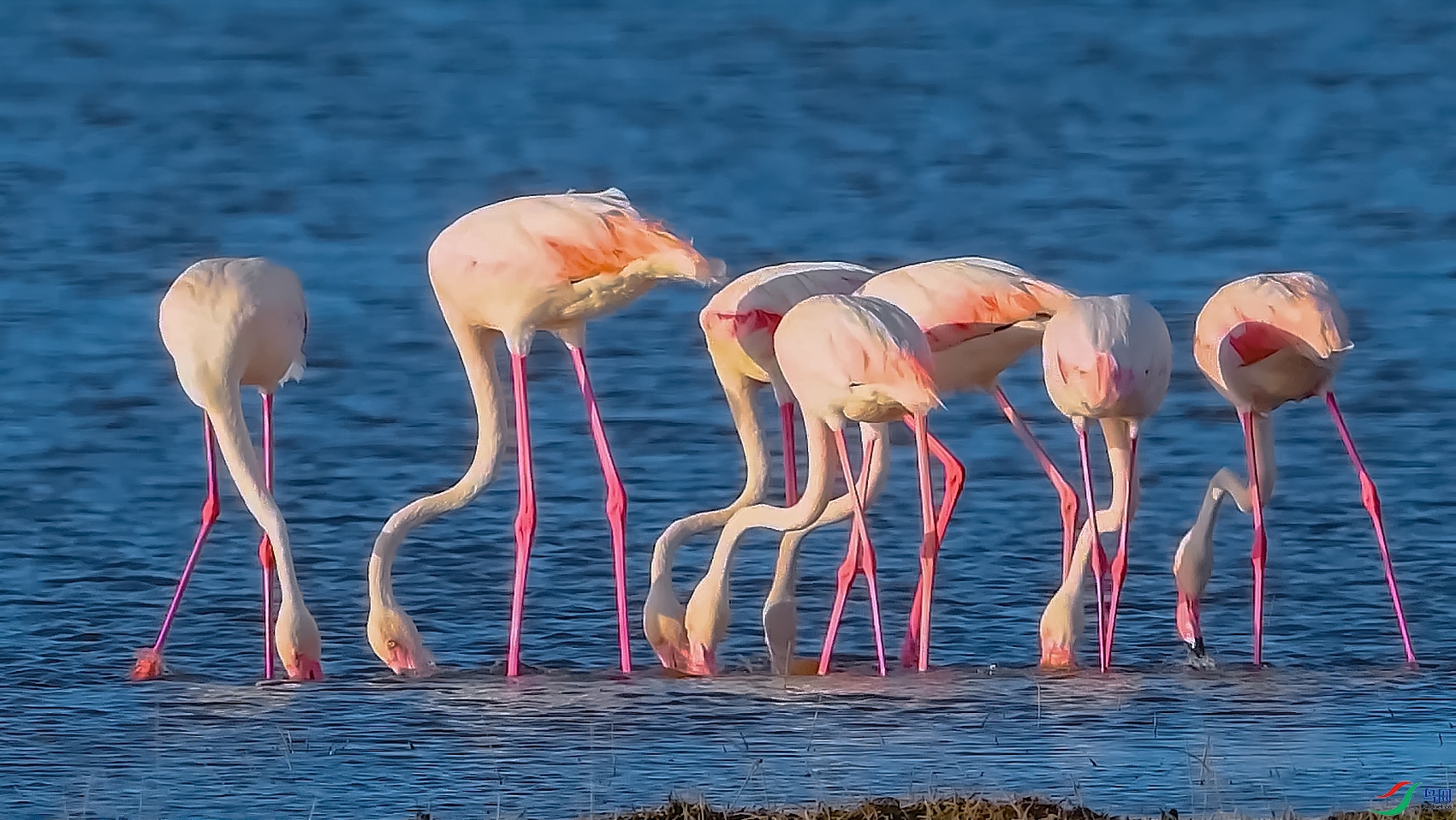 18 �� ������.00_00_28_24.Still001.jpg