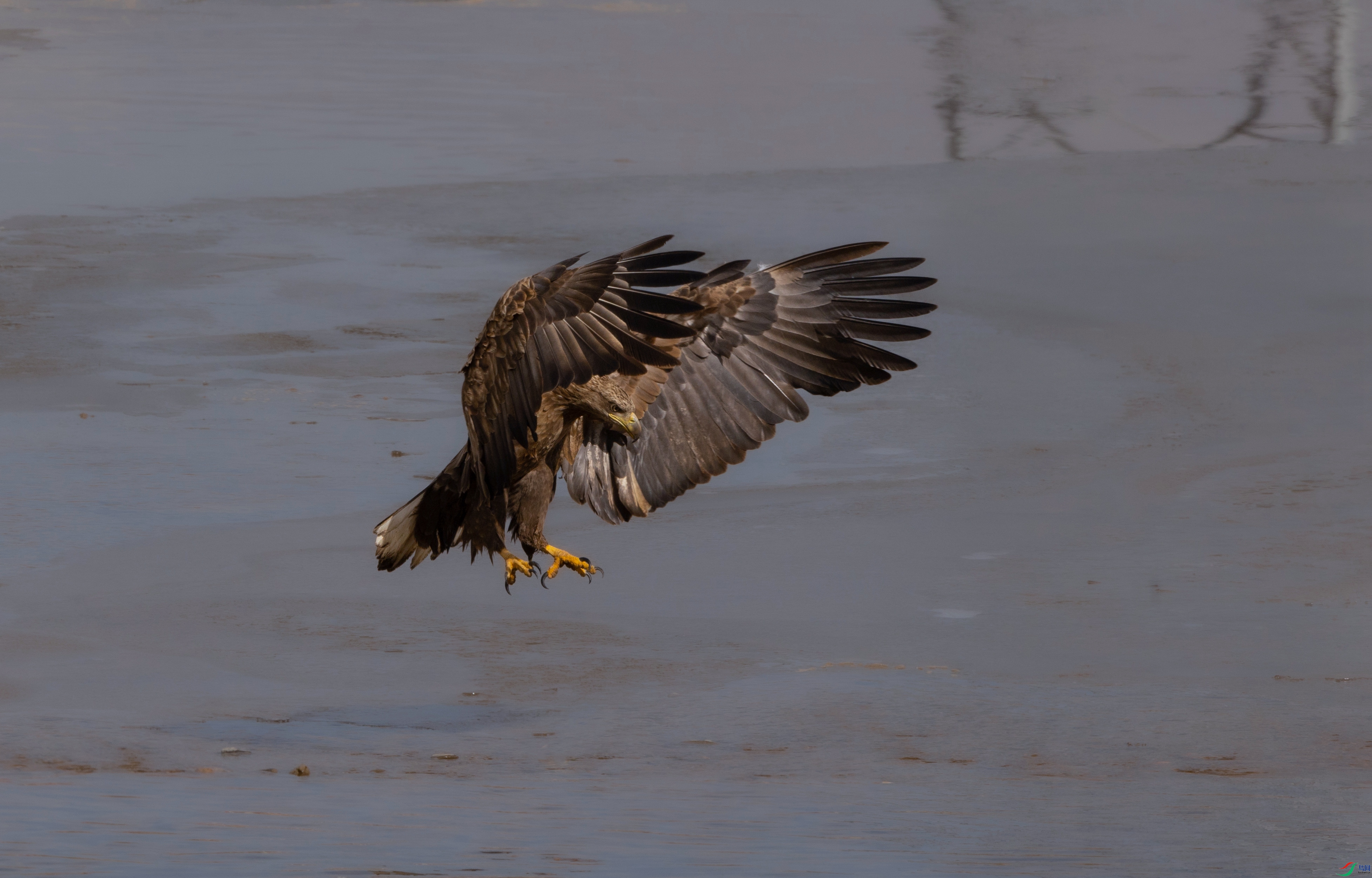 7X5A0906 - ����.jpg