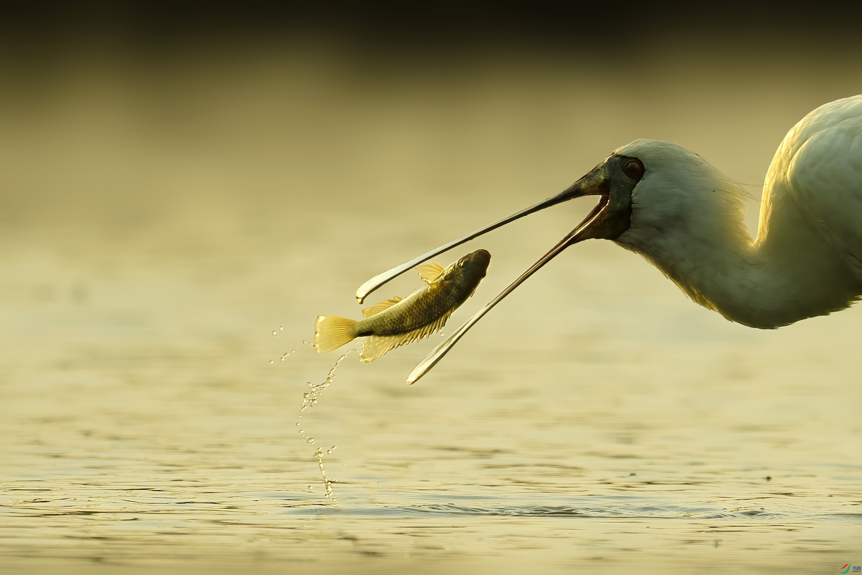 DSC00111 ���� 2.jpg