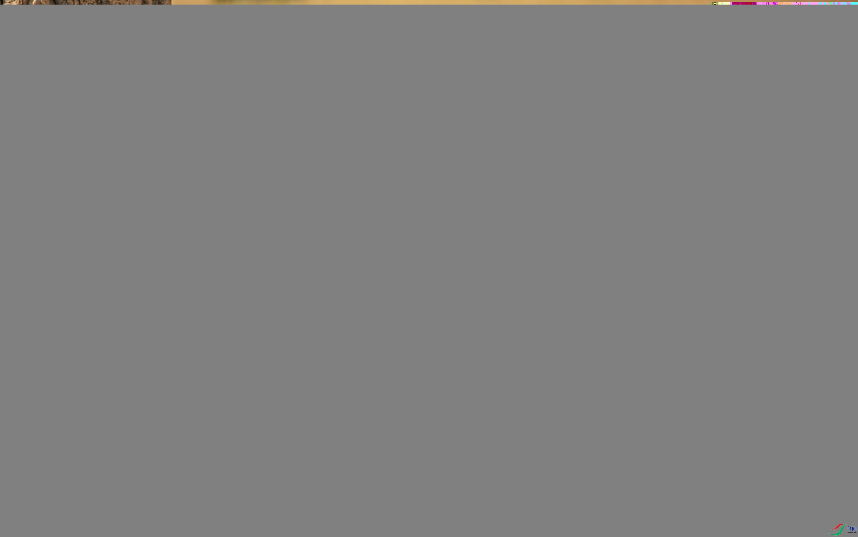 4E2A3867-����ǿ-NR.JPG