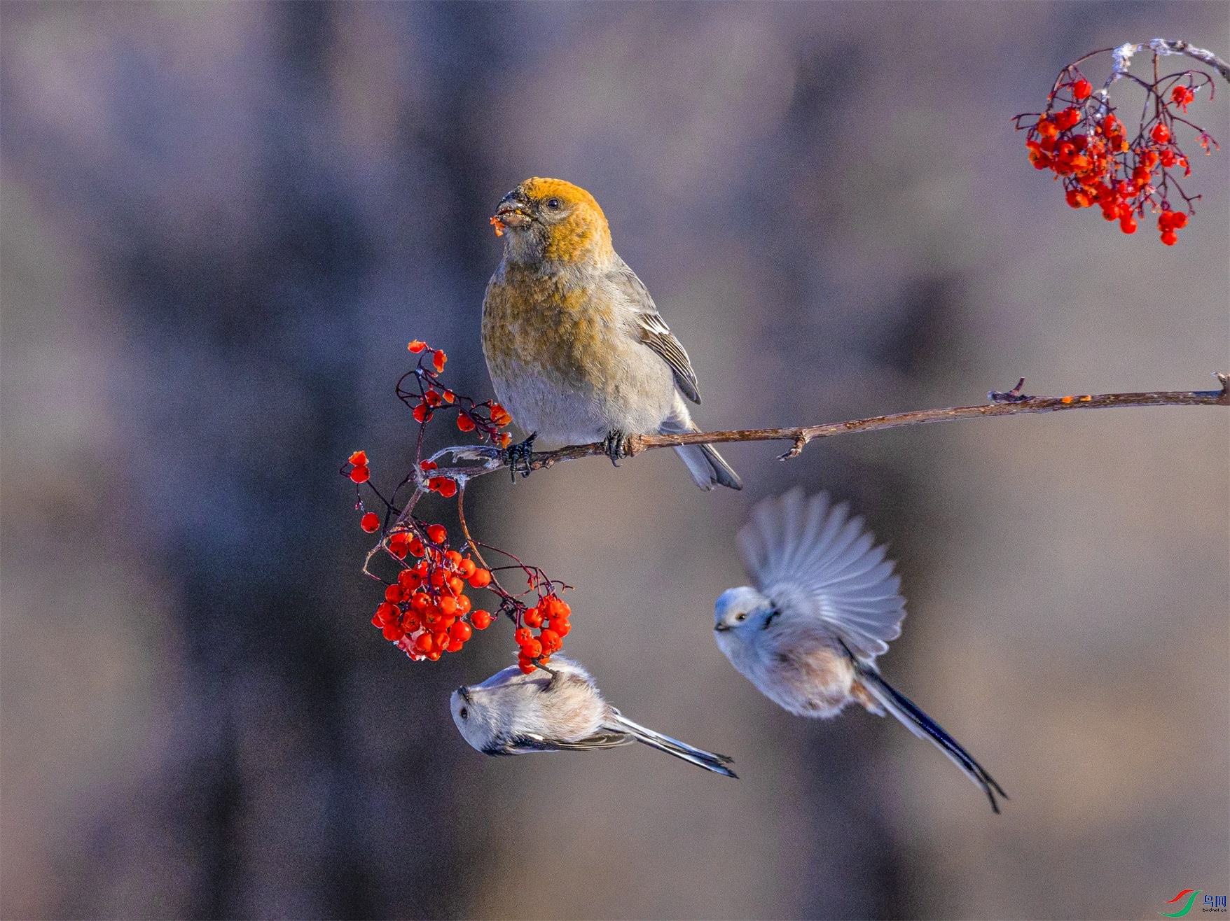 1K3A5495 ����1.jpg