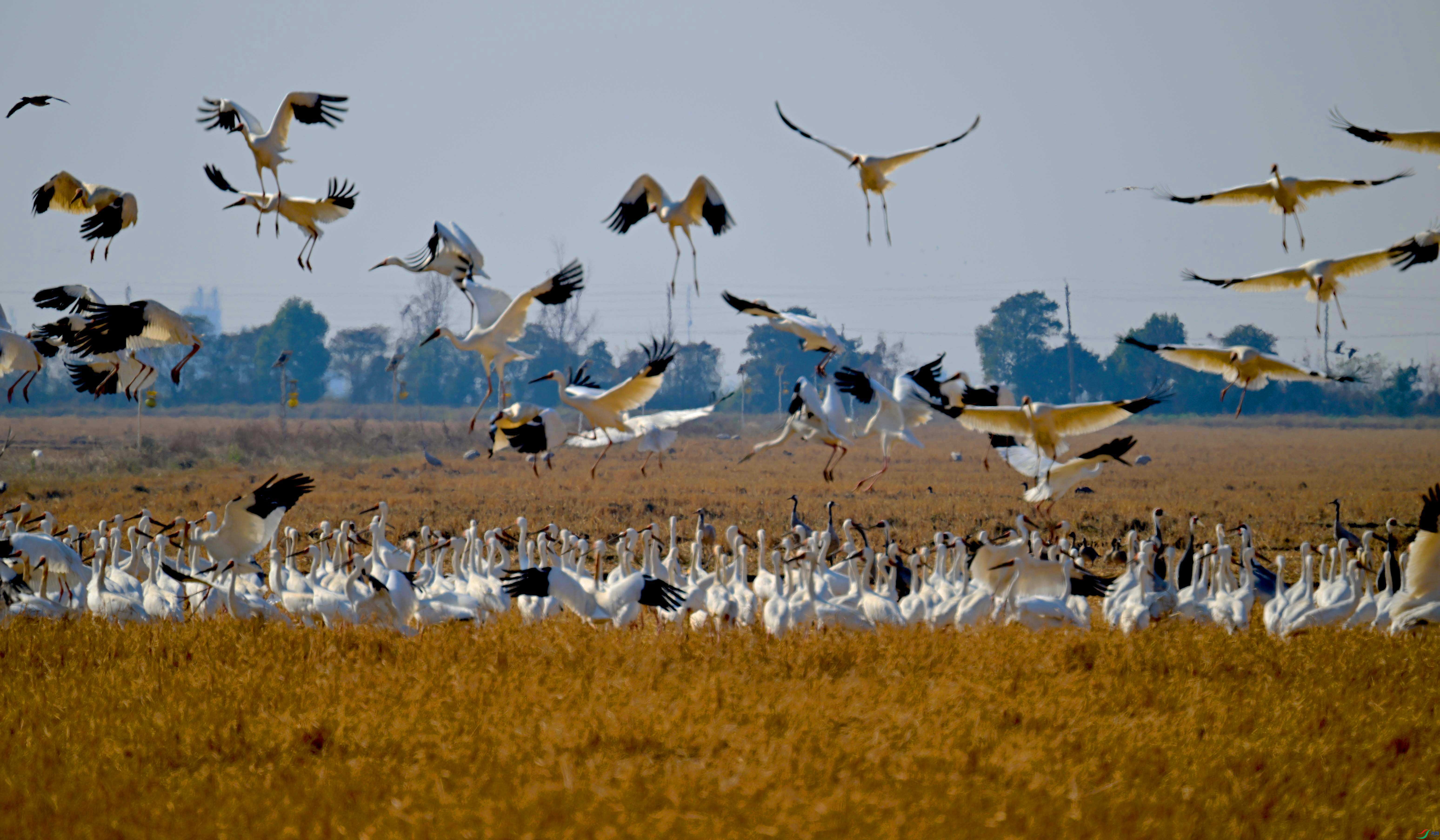 DSC_9399 ���� 2.jpg