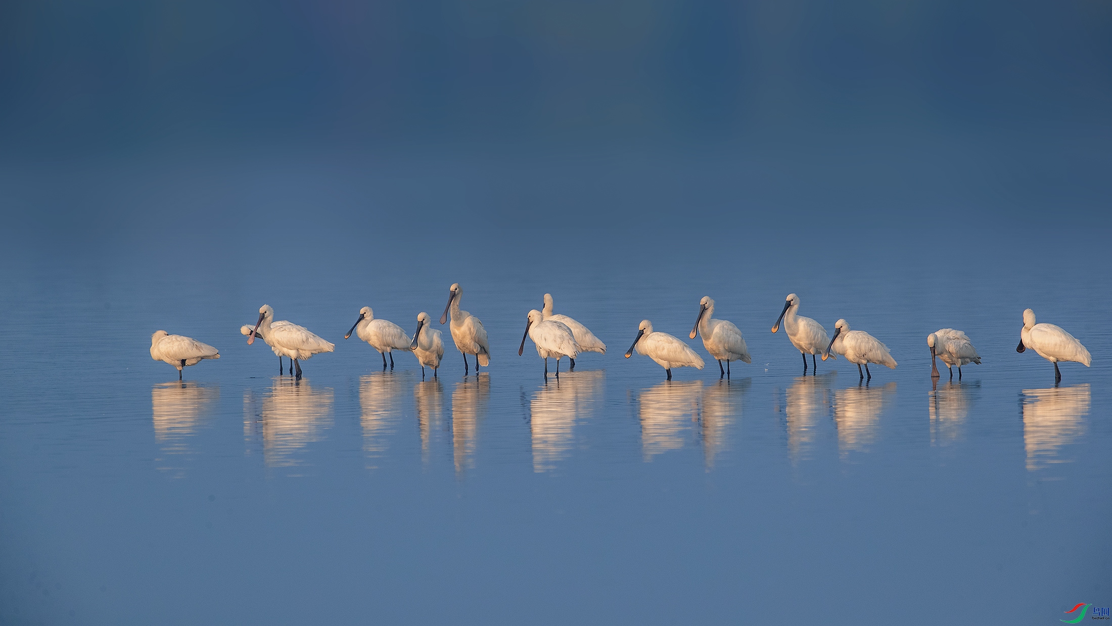 BE5I9649 ����.jpg