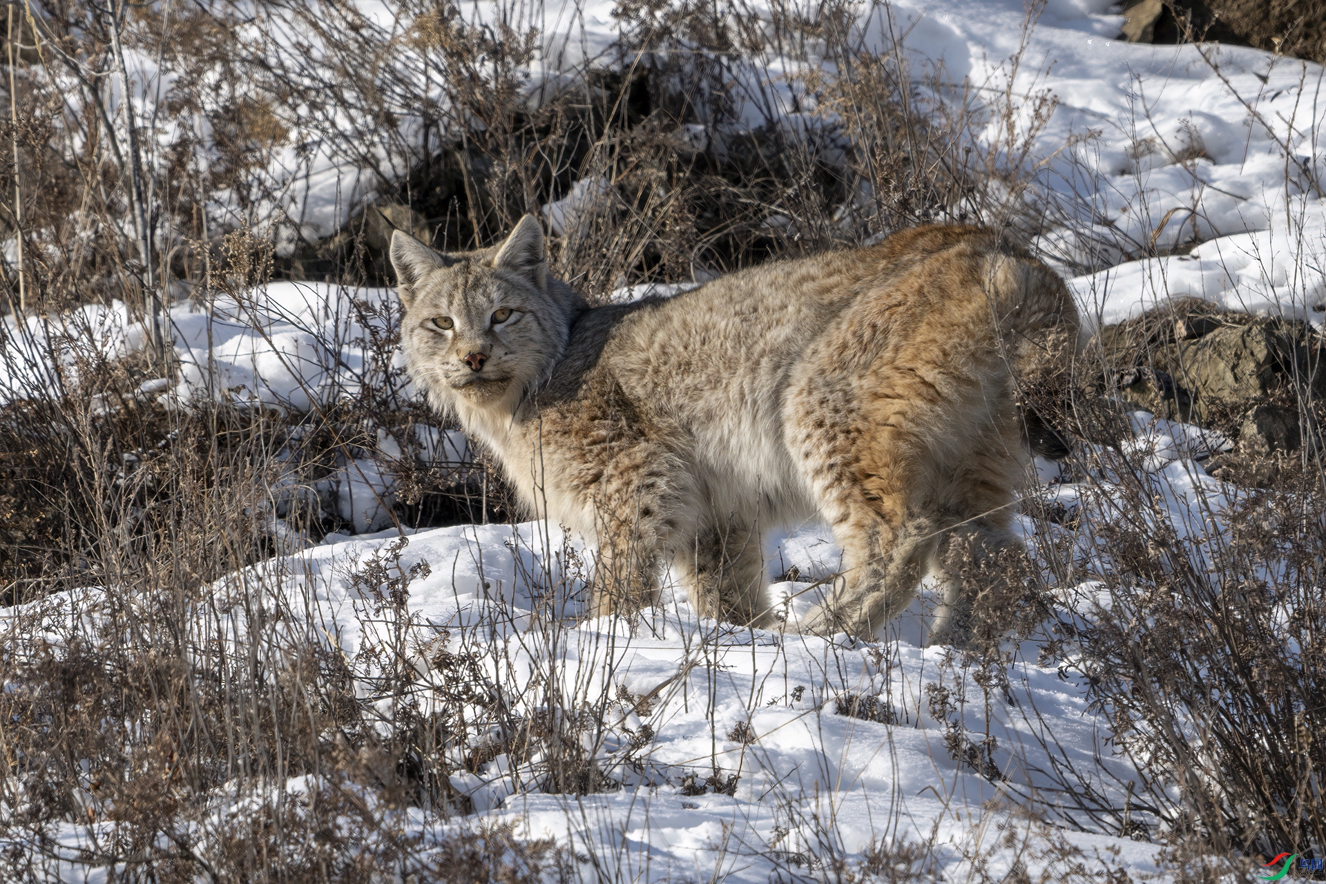 _DSC7027 ����.jpg