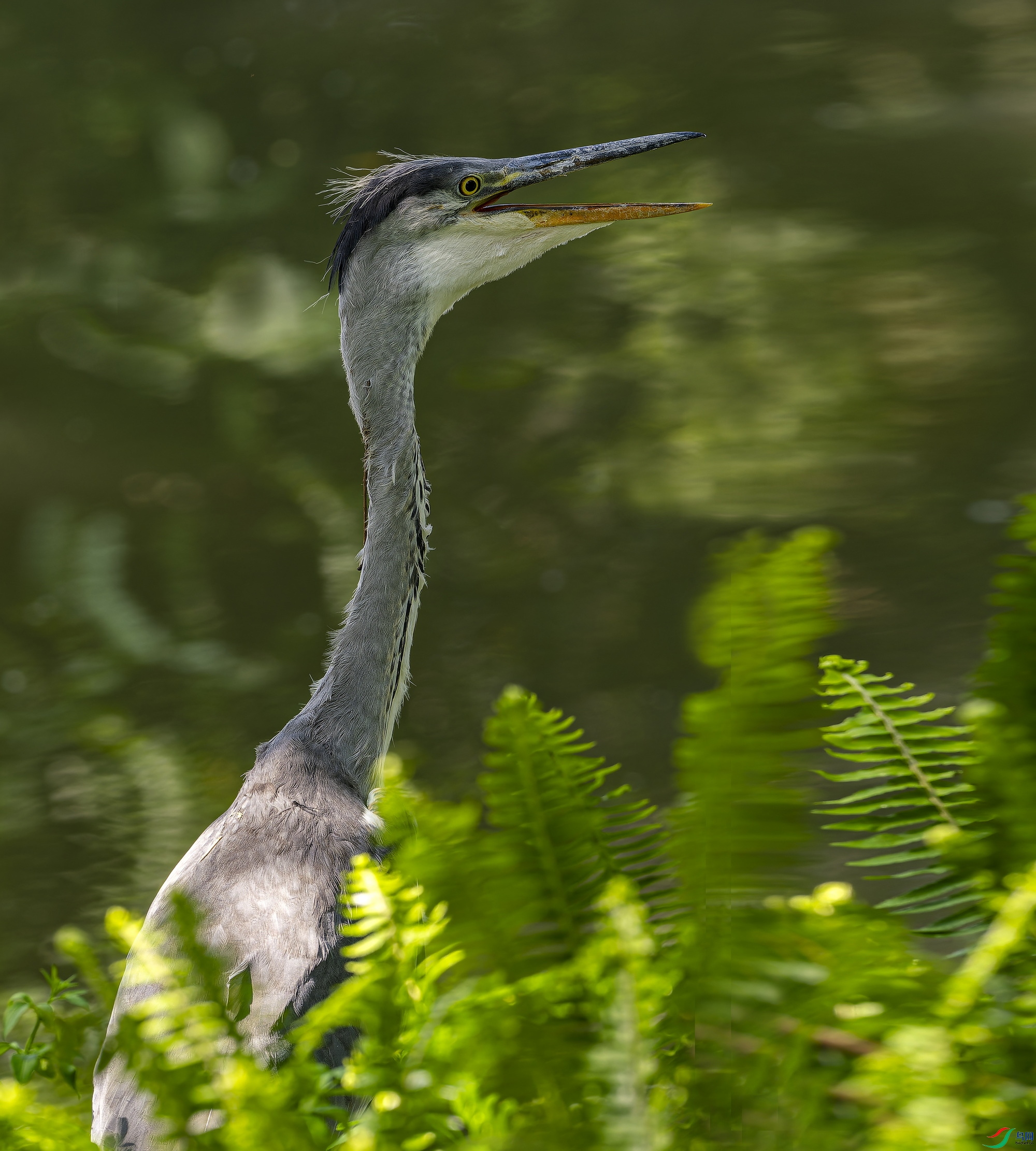 ����-04 (3).jpg