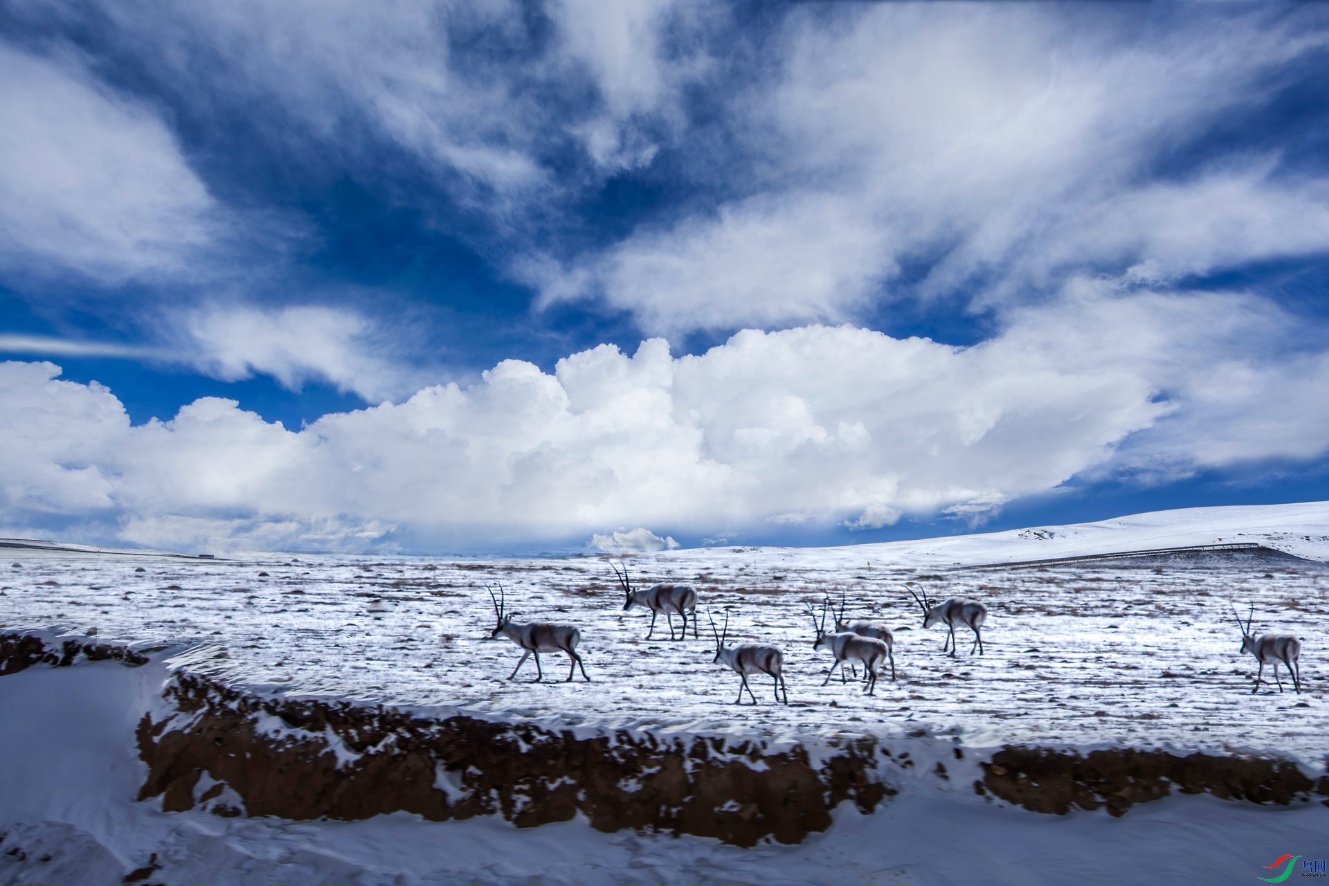 climb the snow mountain.jpg