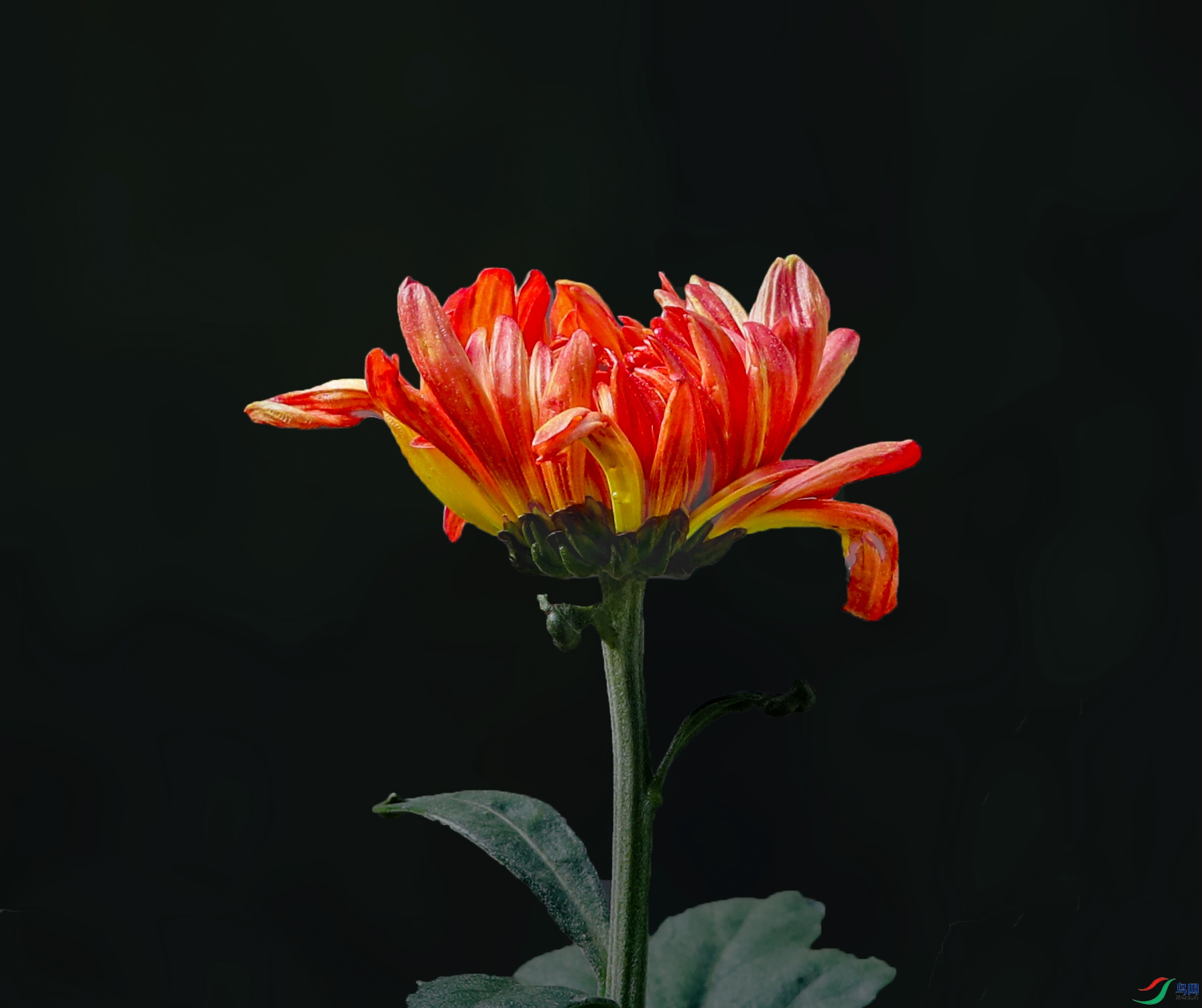 0000583A0042 ��ɏ���� 1000k.jpg