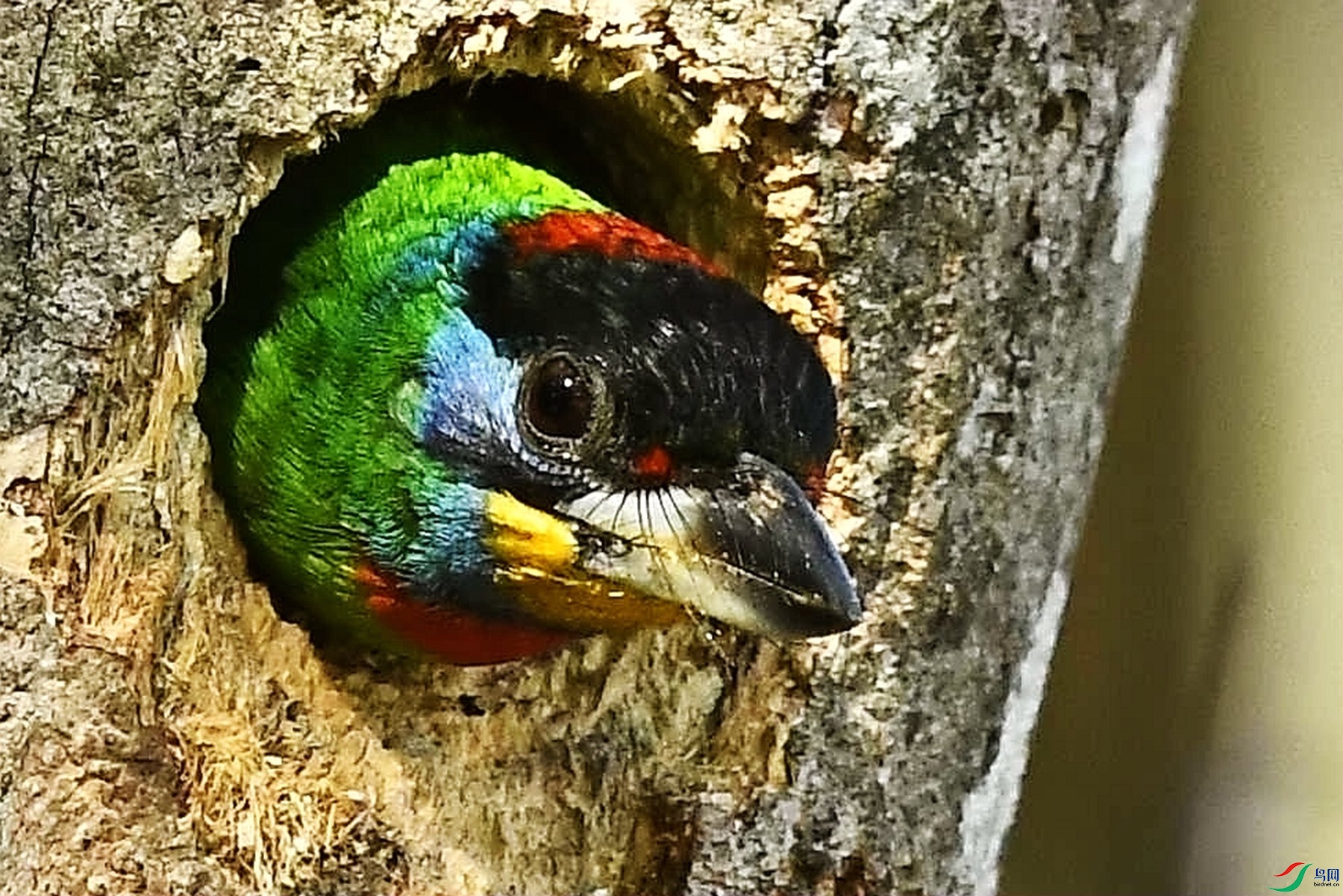 DSC_5375_����.jpg