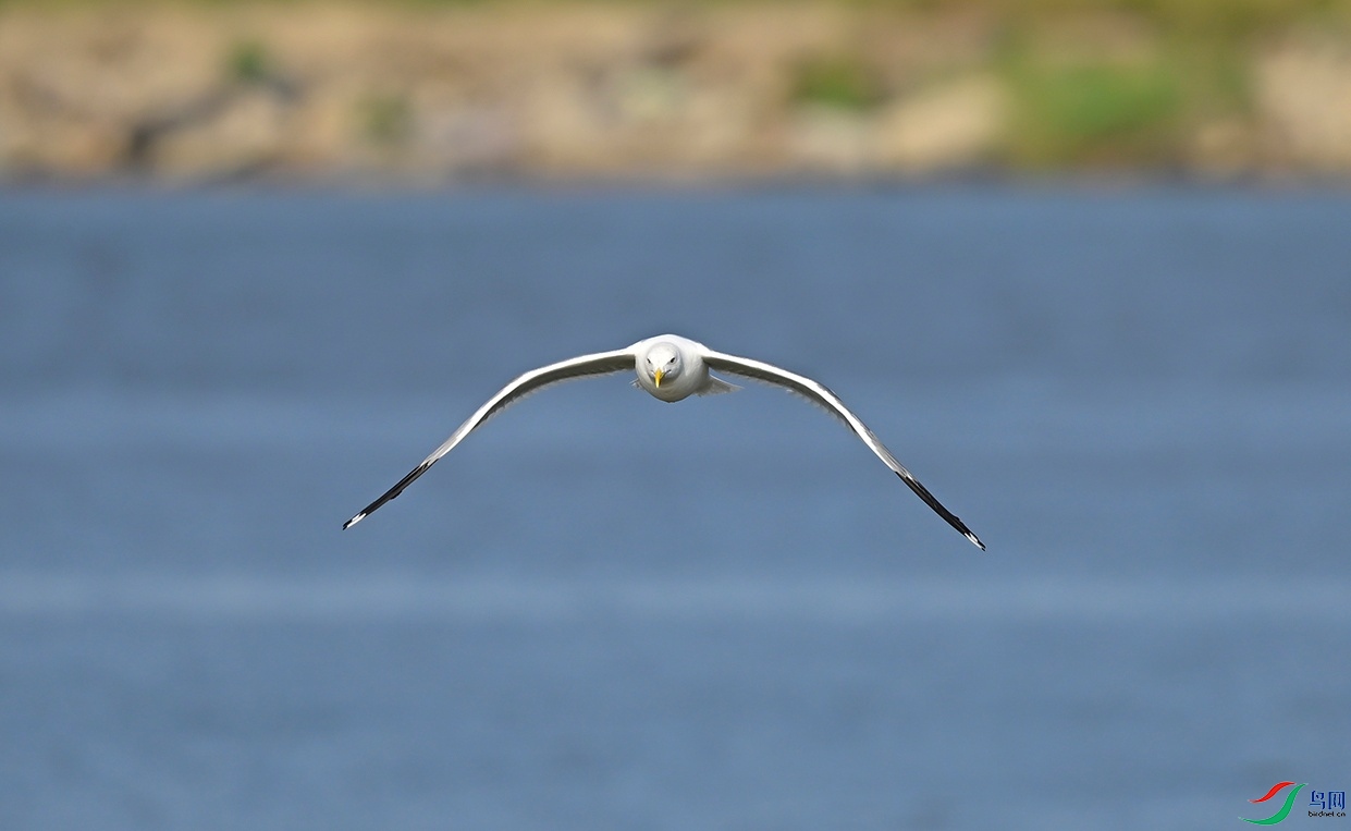 _DSC4258f.jpg